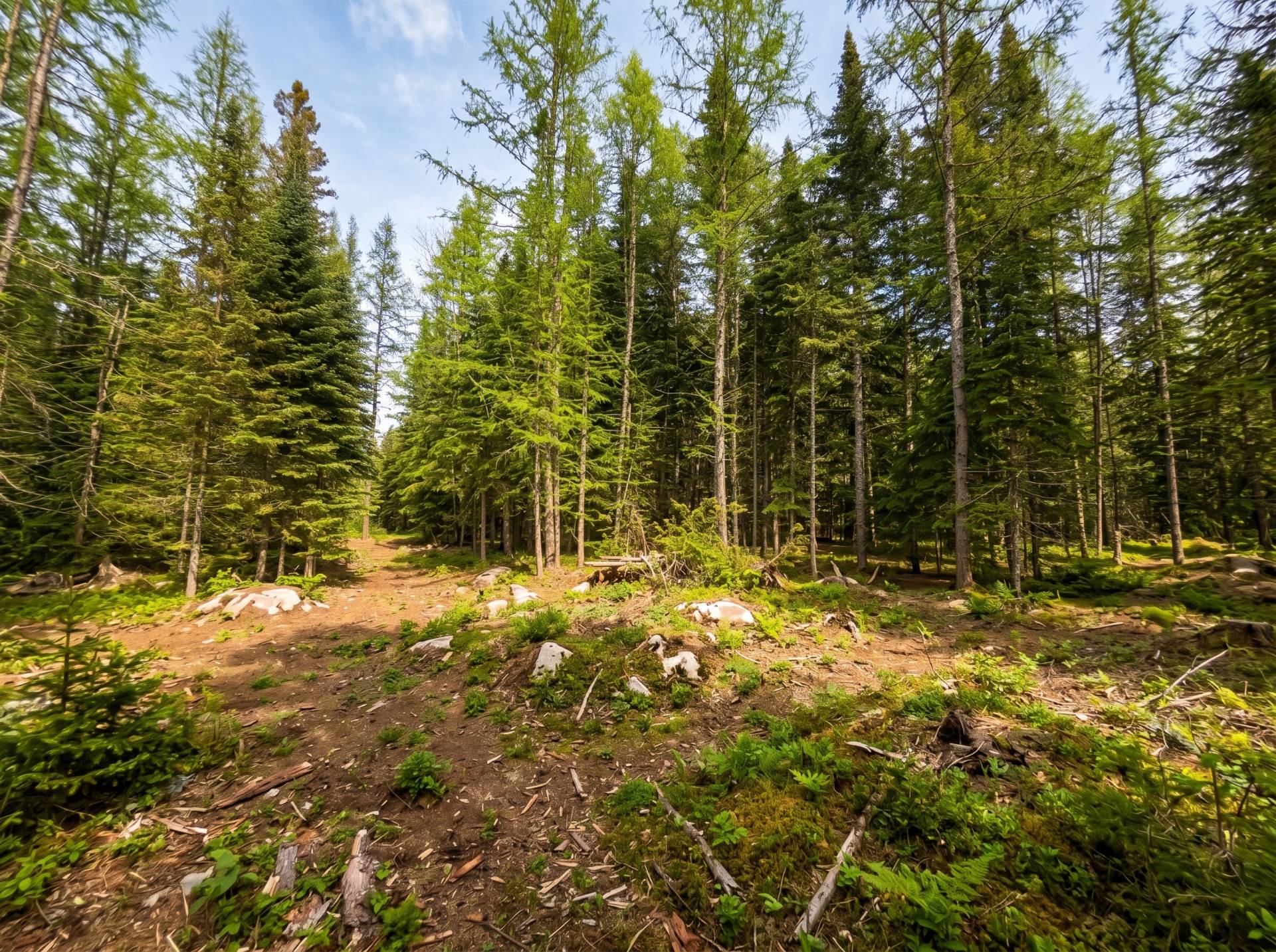 Terre/Terrain