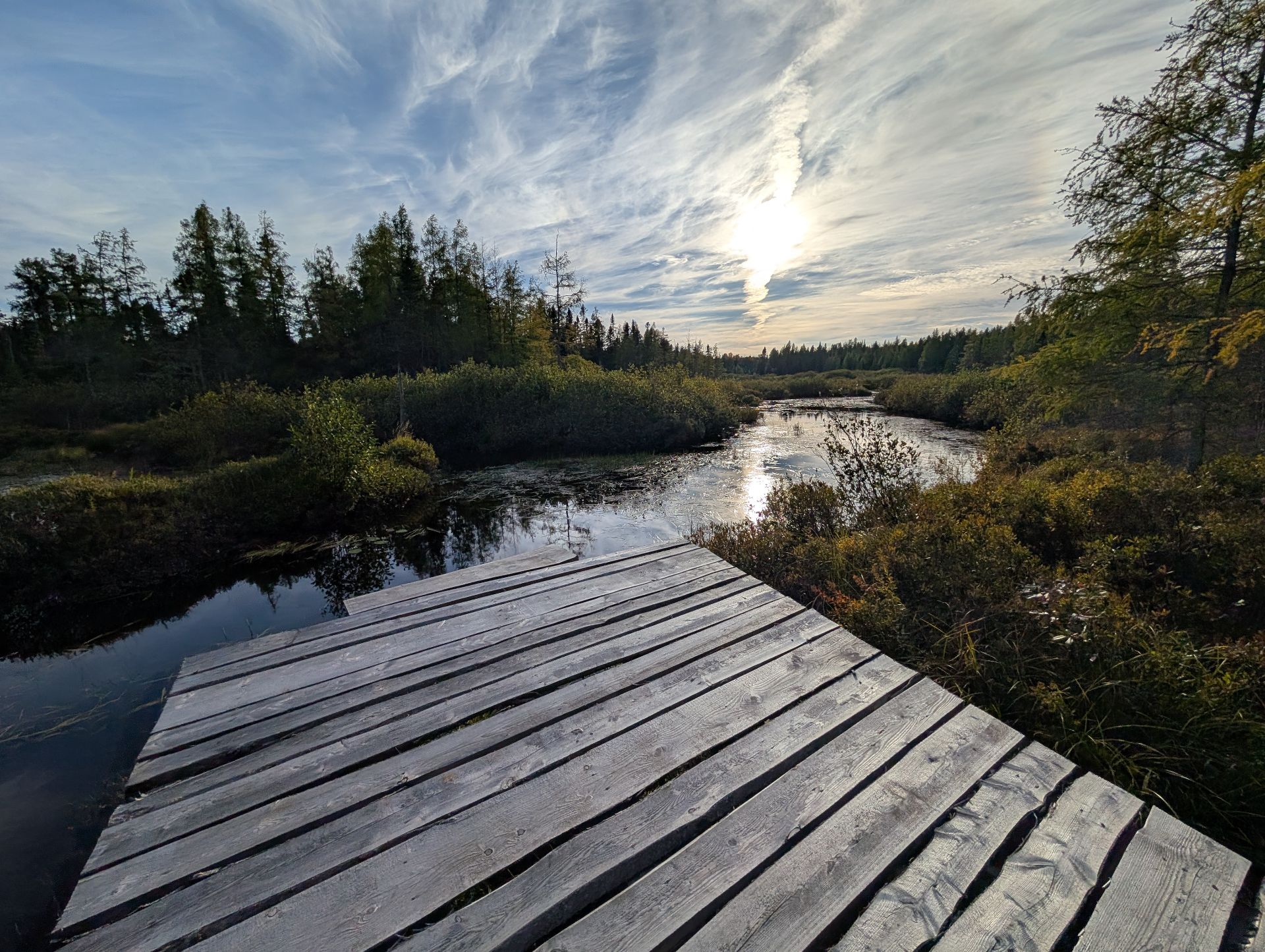Bord de l'eau