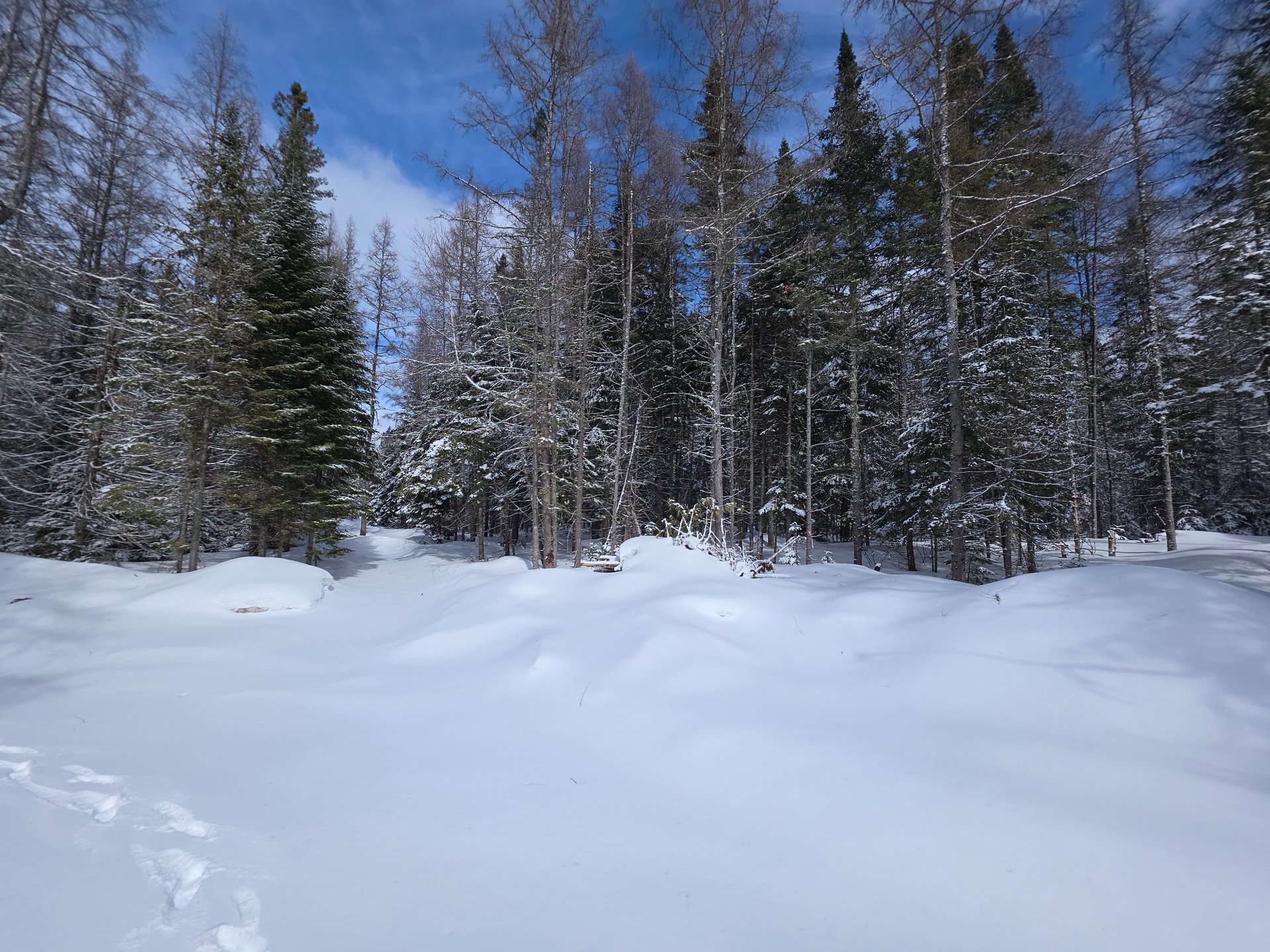 Terre/Terrain