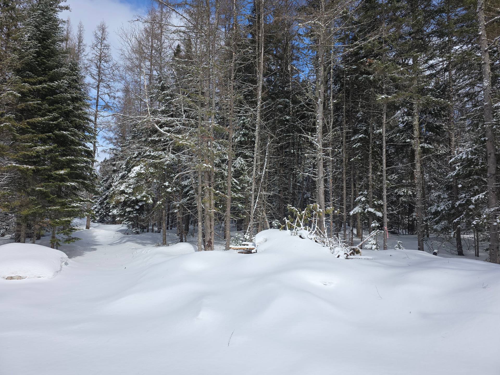 Terre/Terrain