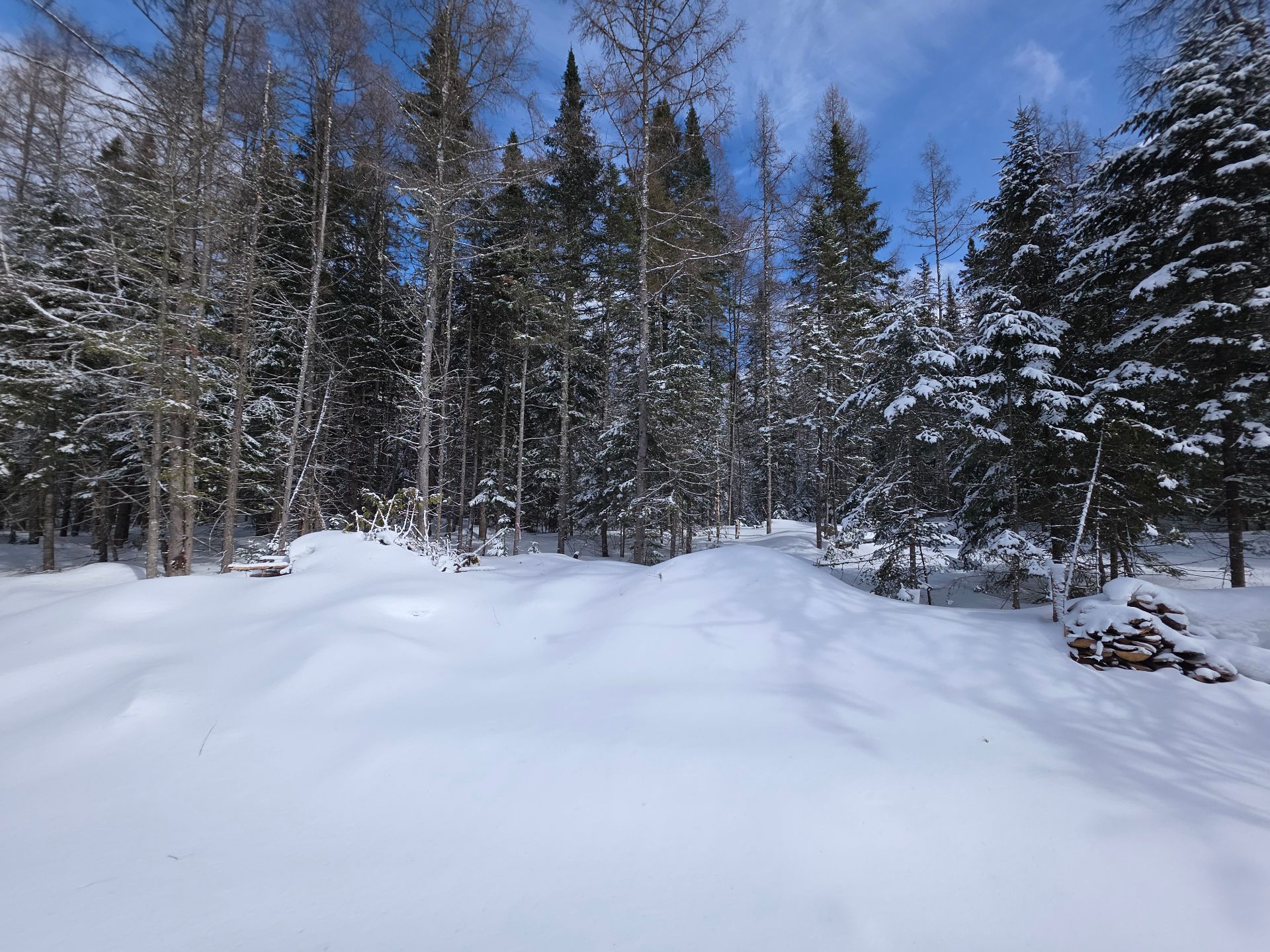 Terre/Terrain