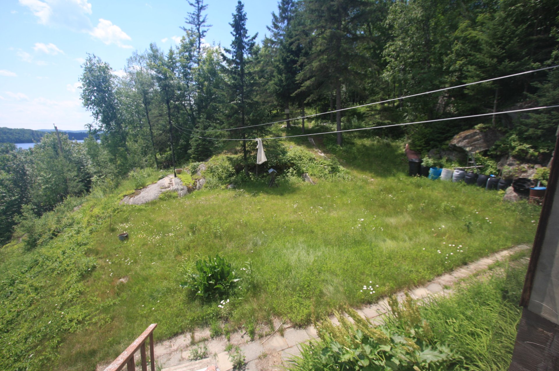 Backyard