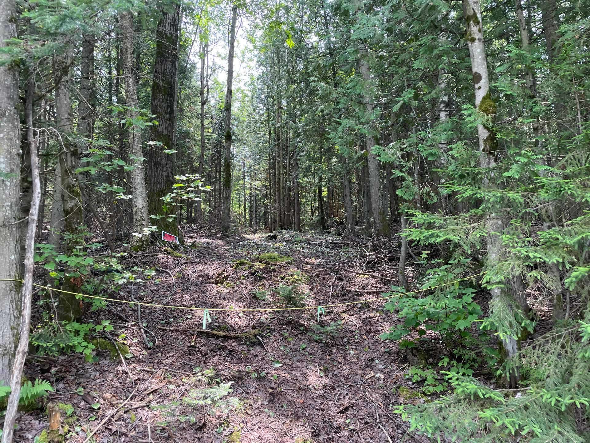 Terre/Terrain