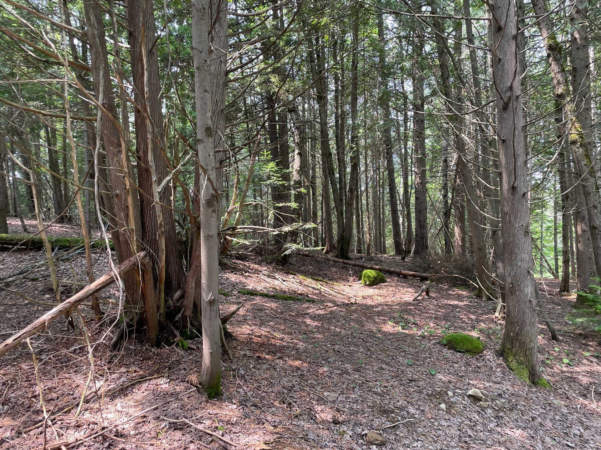 Terre/Terrain