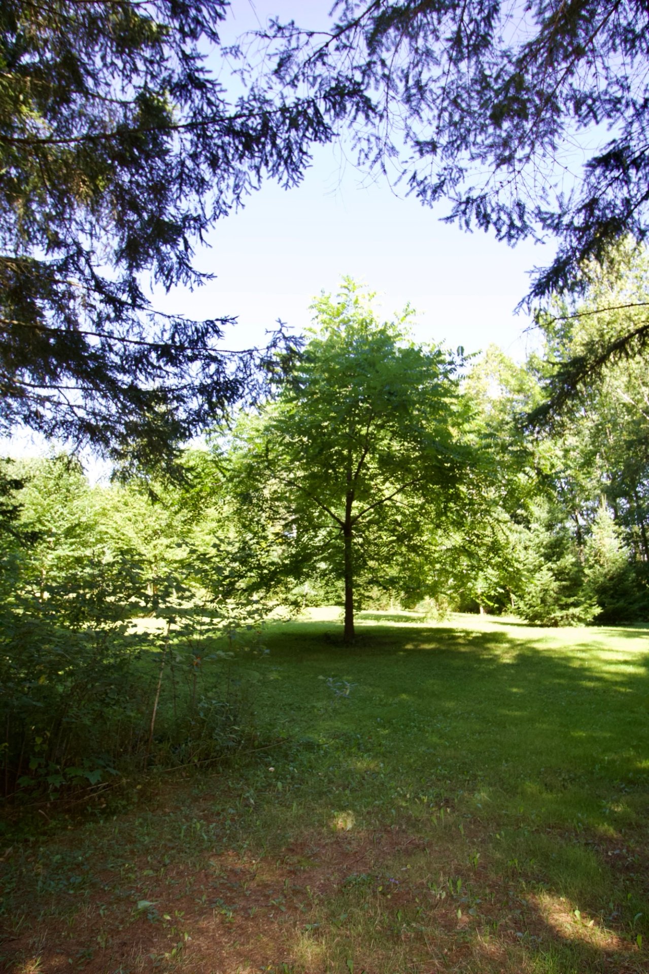 sentier