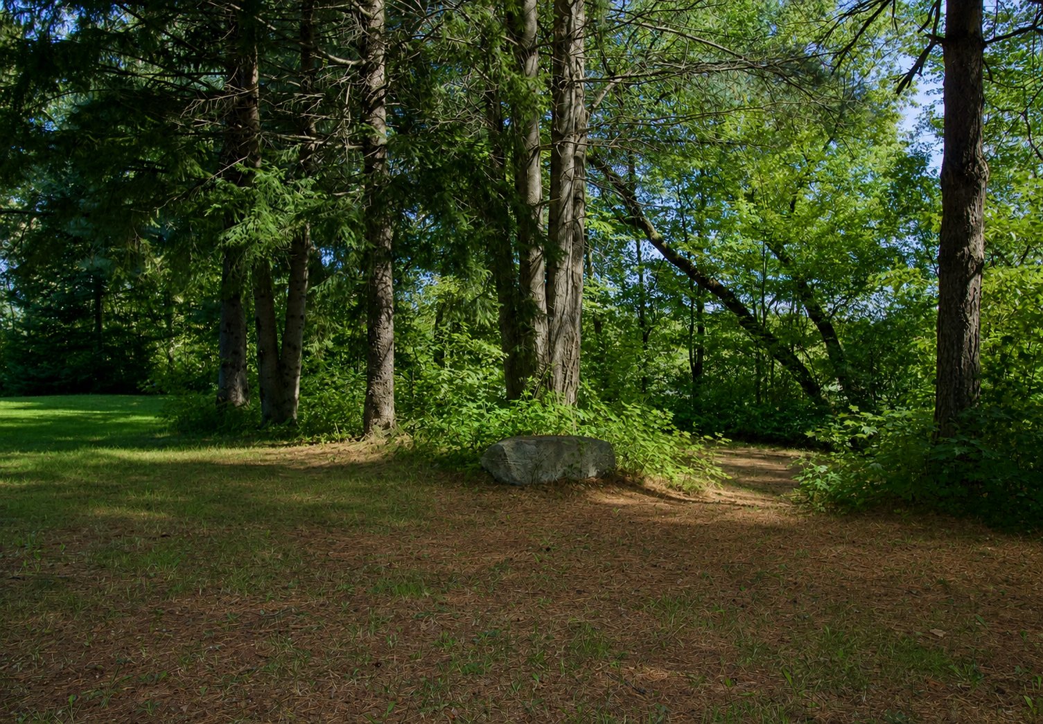 sentier