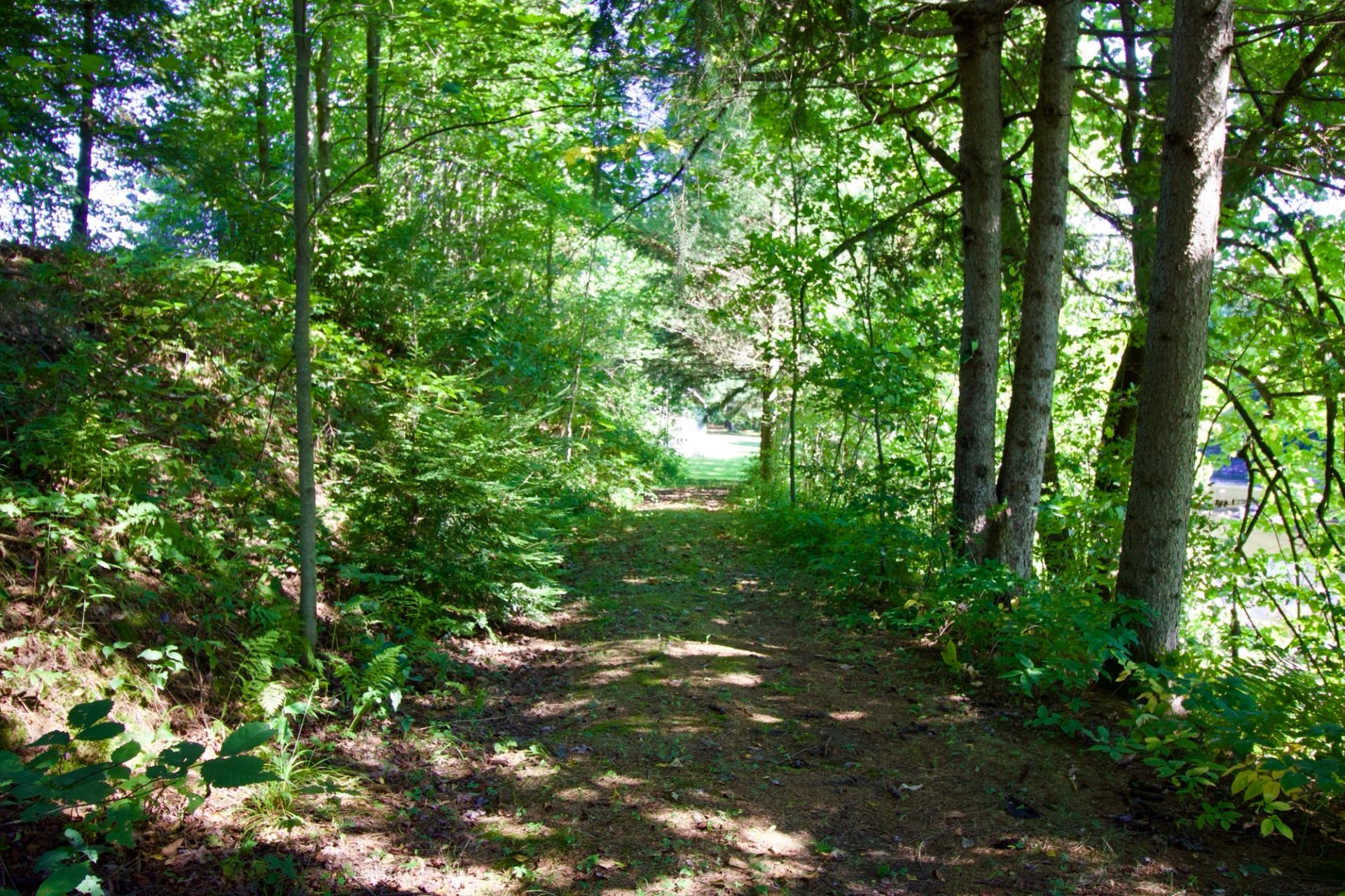 sentier