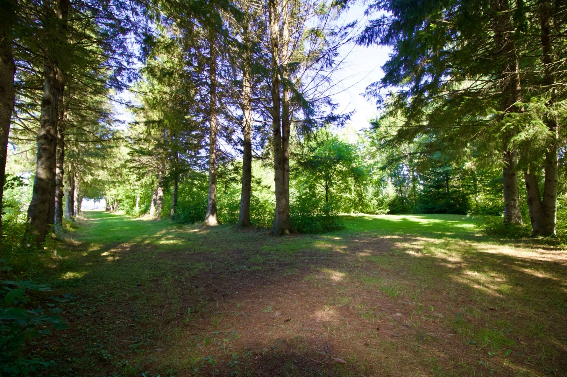 sentier