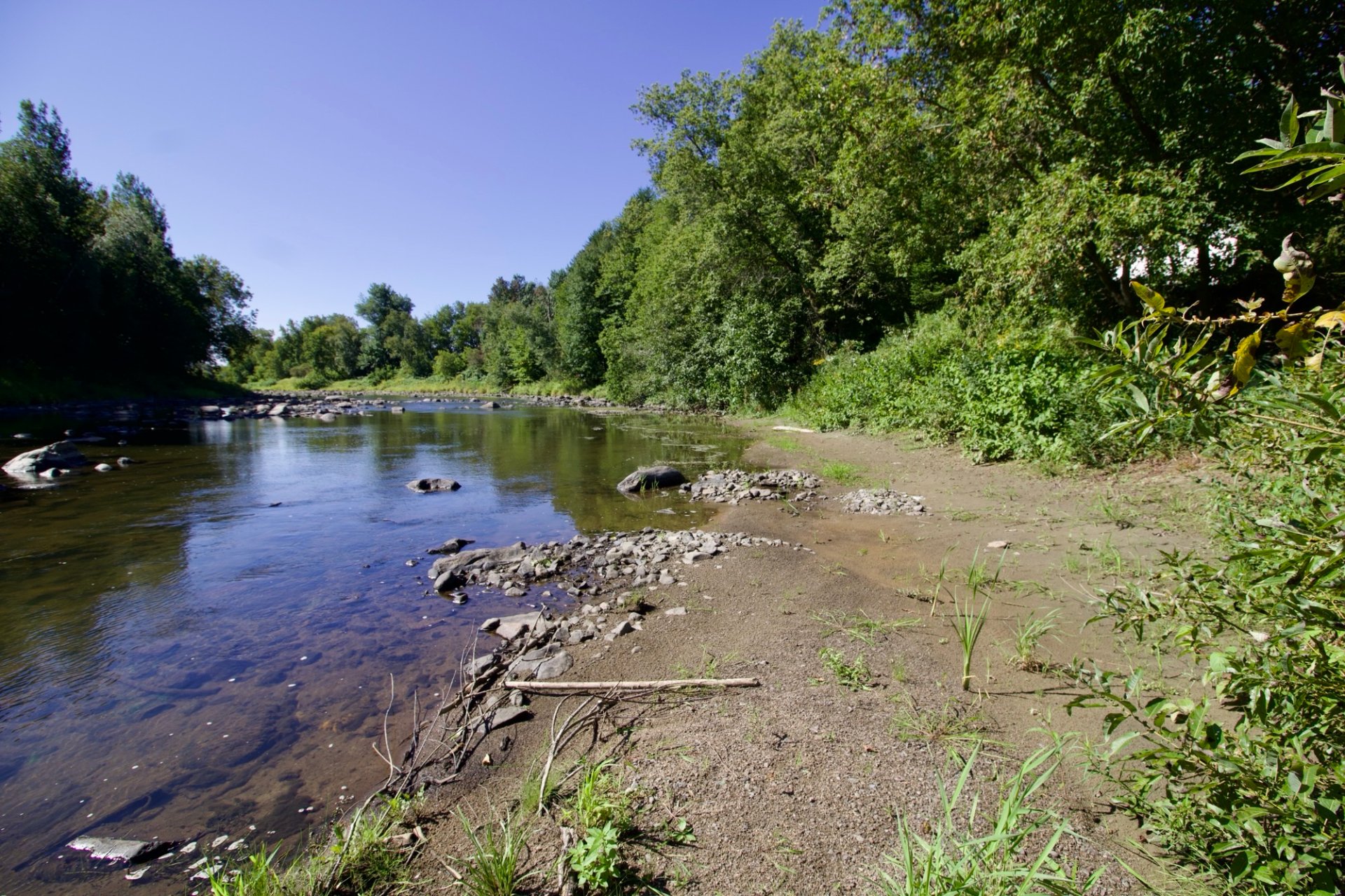 Bord de l'eau