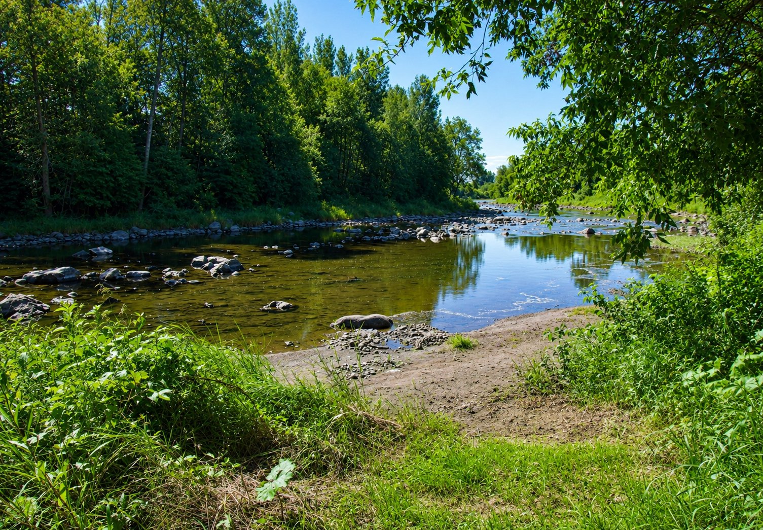 Bord de l'eau