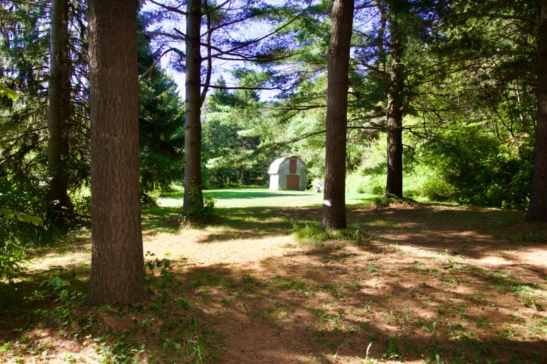 sentier