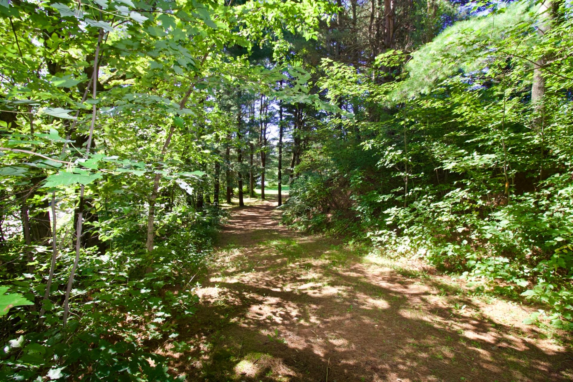 sentier