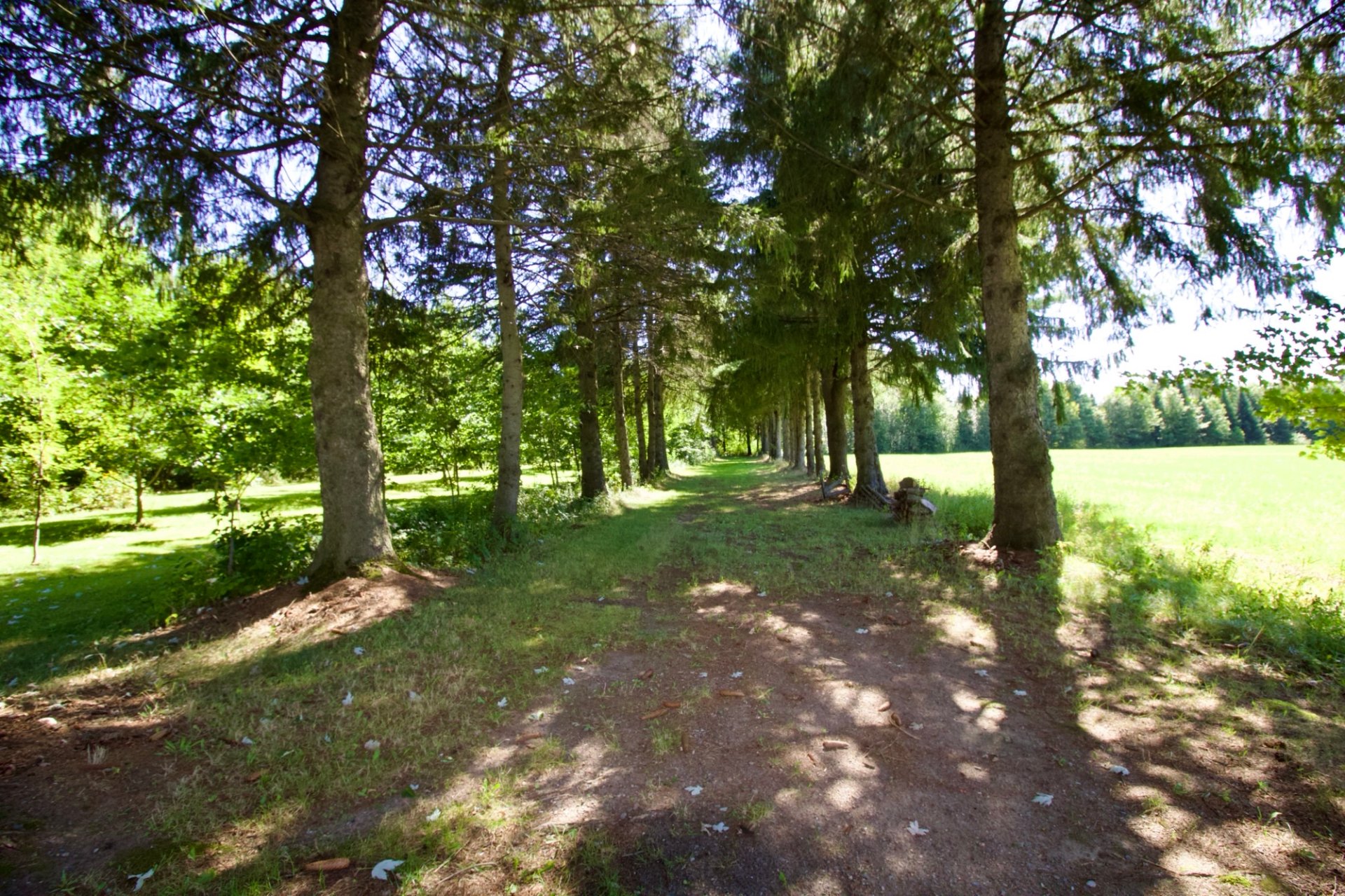 sentier