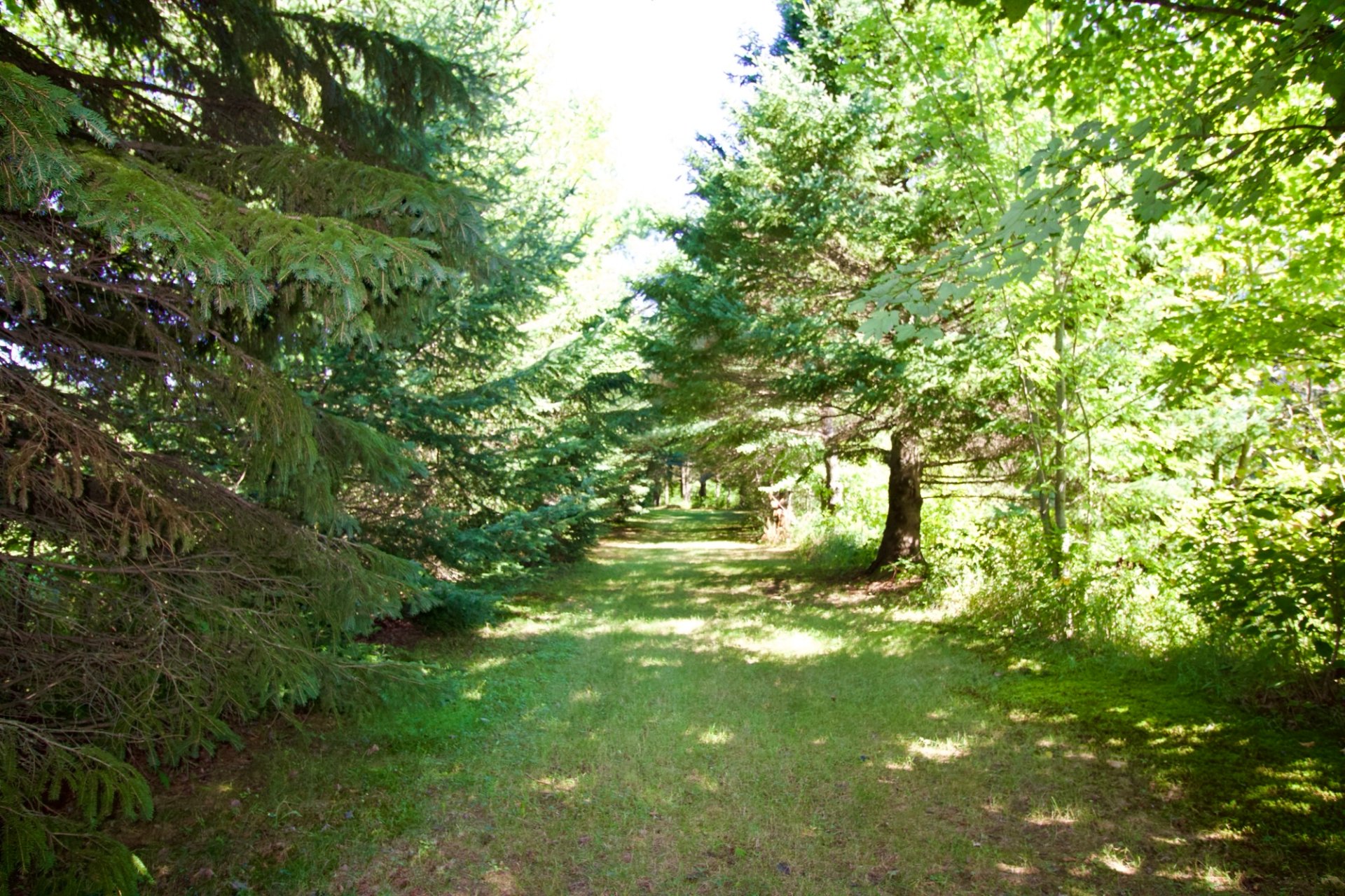 sentier