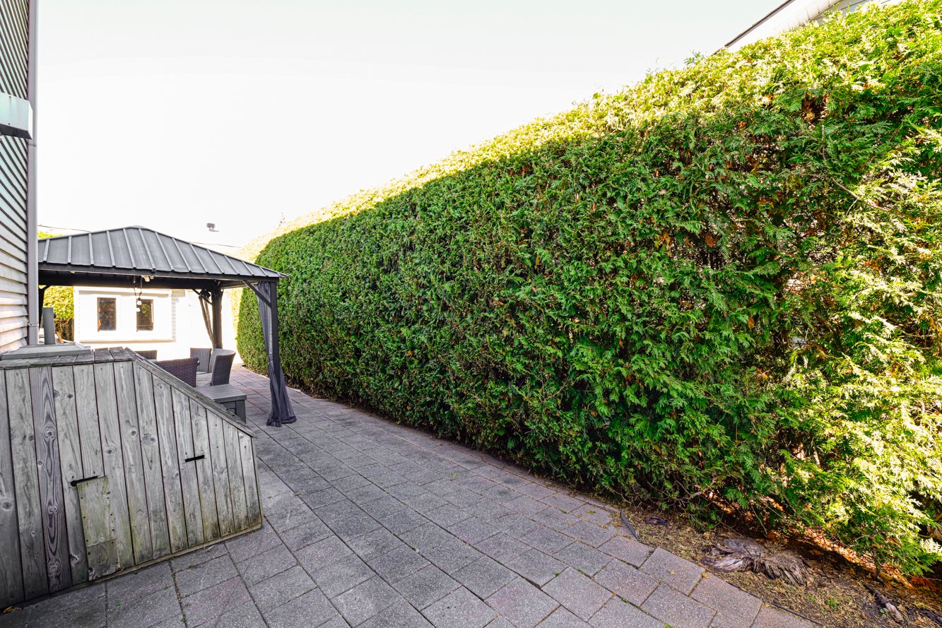 Belles haies de cèdre matures tout autour