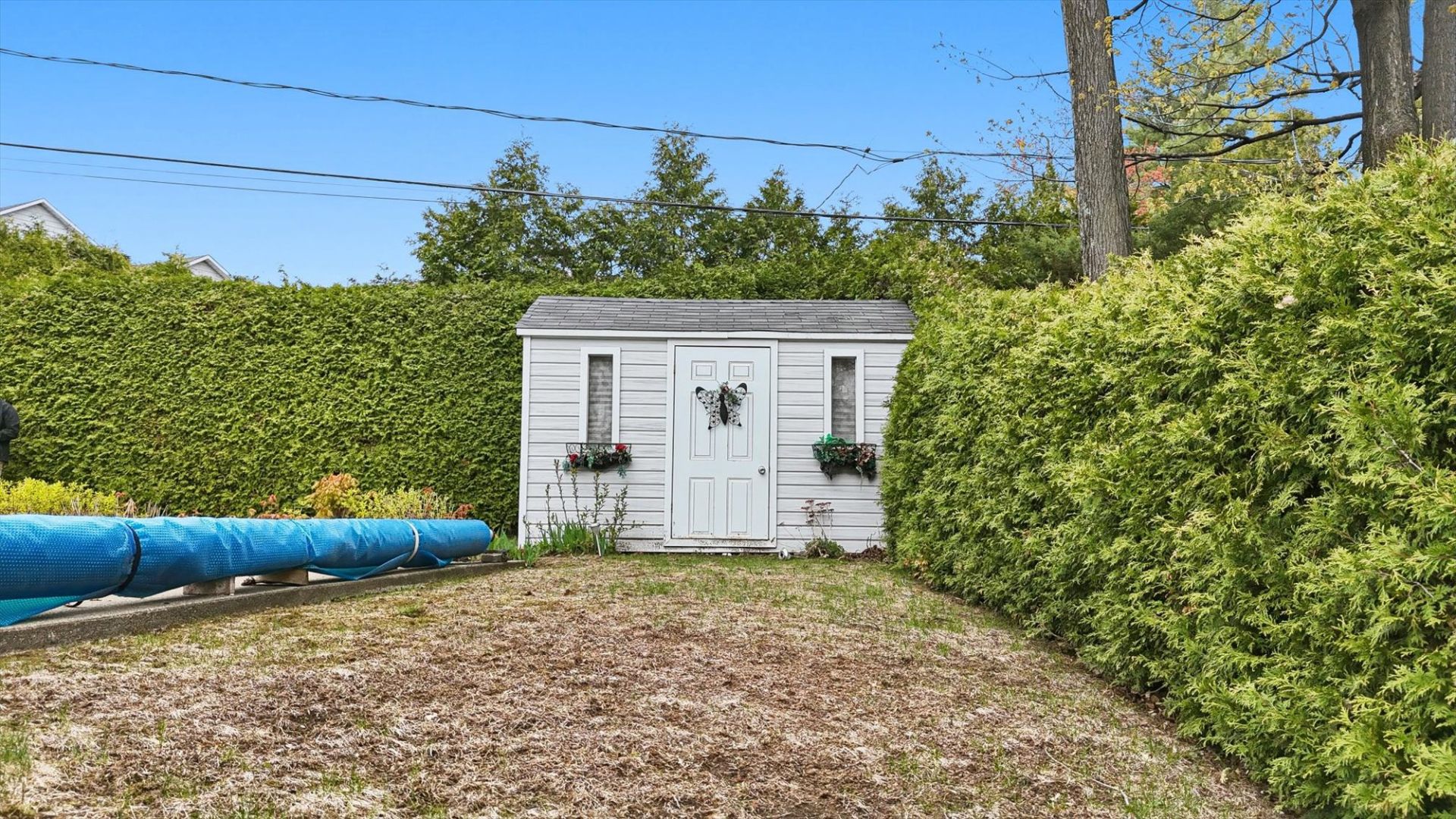 Shed