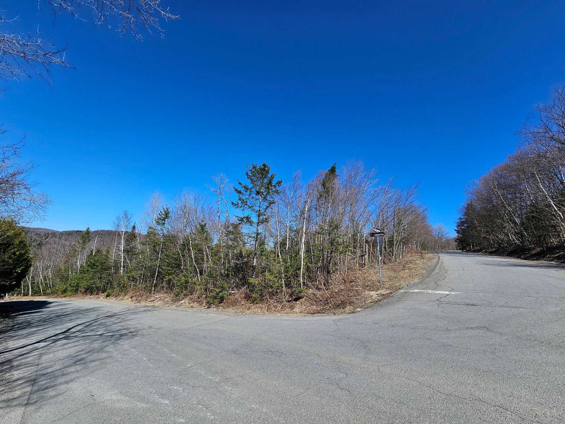 Land/Lot
