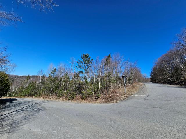 Land/Lot