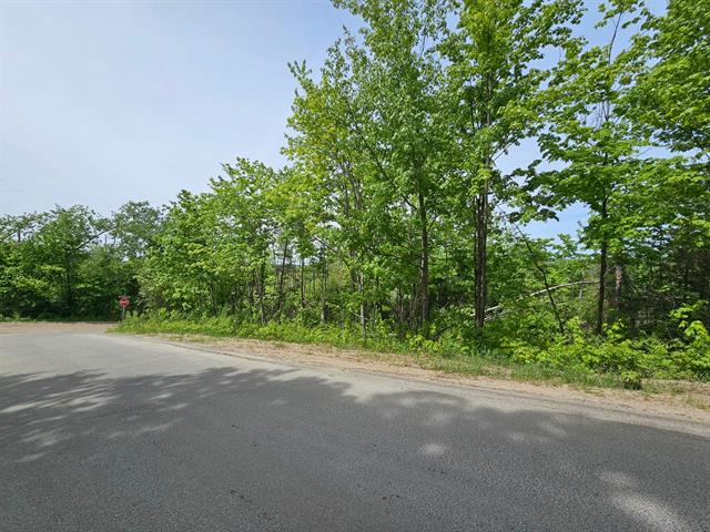 Land/Lot