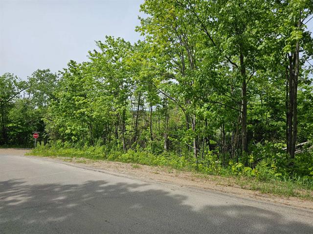 Land/Lot
