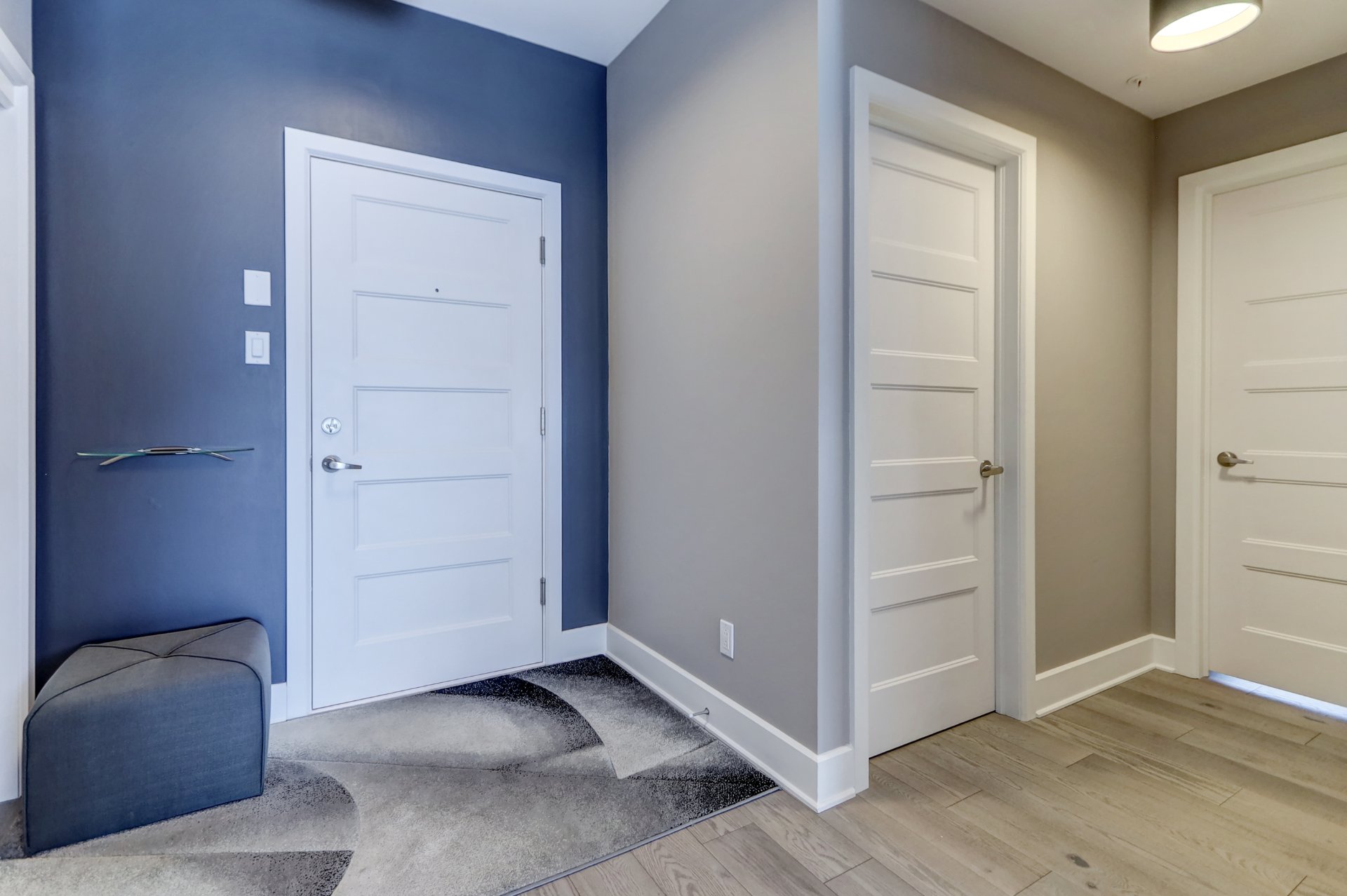 Hall d'entrée/Vestibule