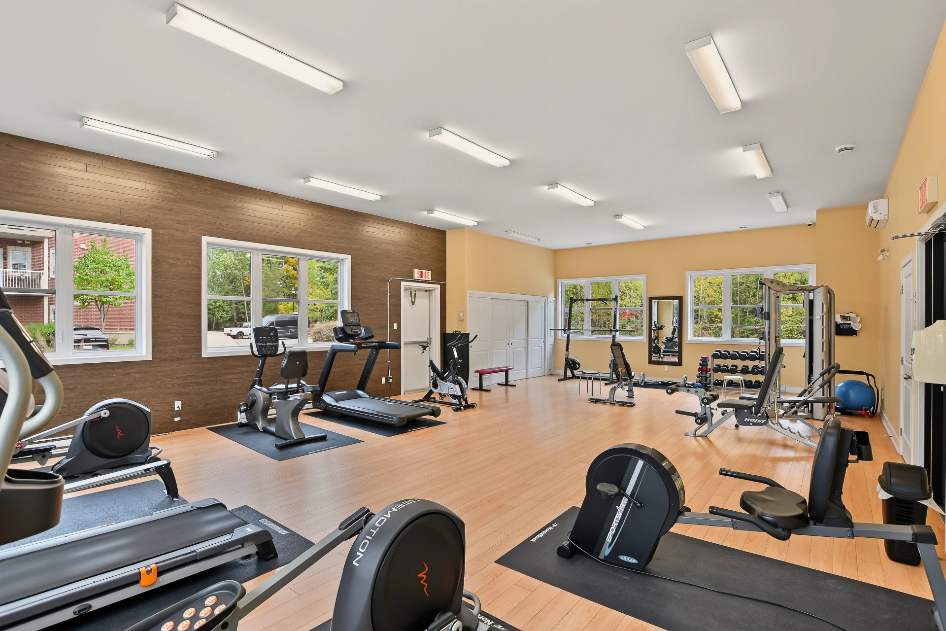 Gym