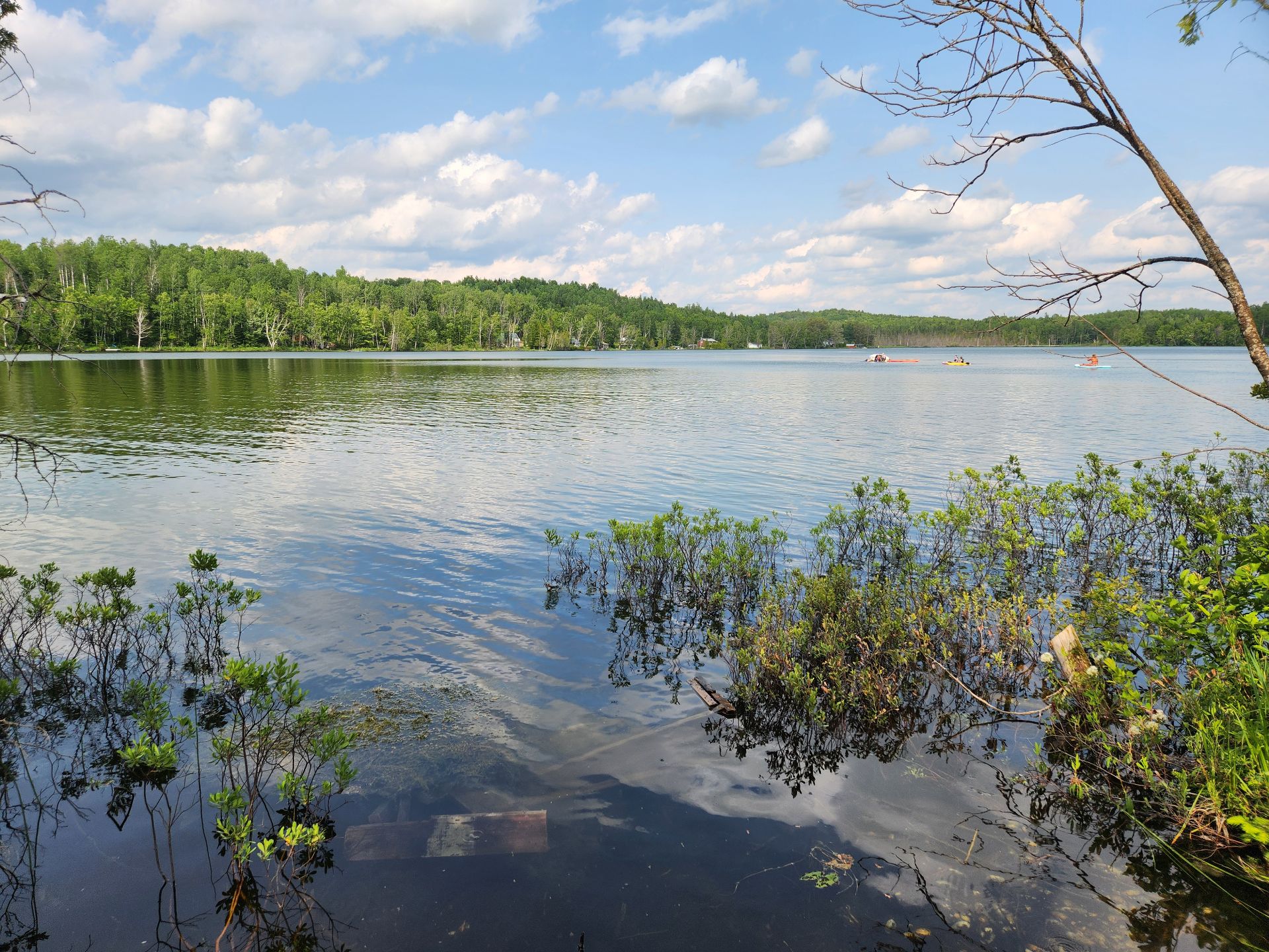 Vue sur l'eau