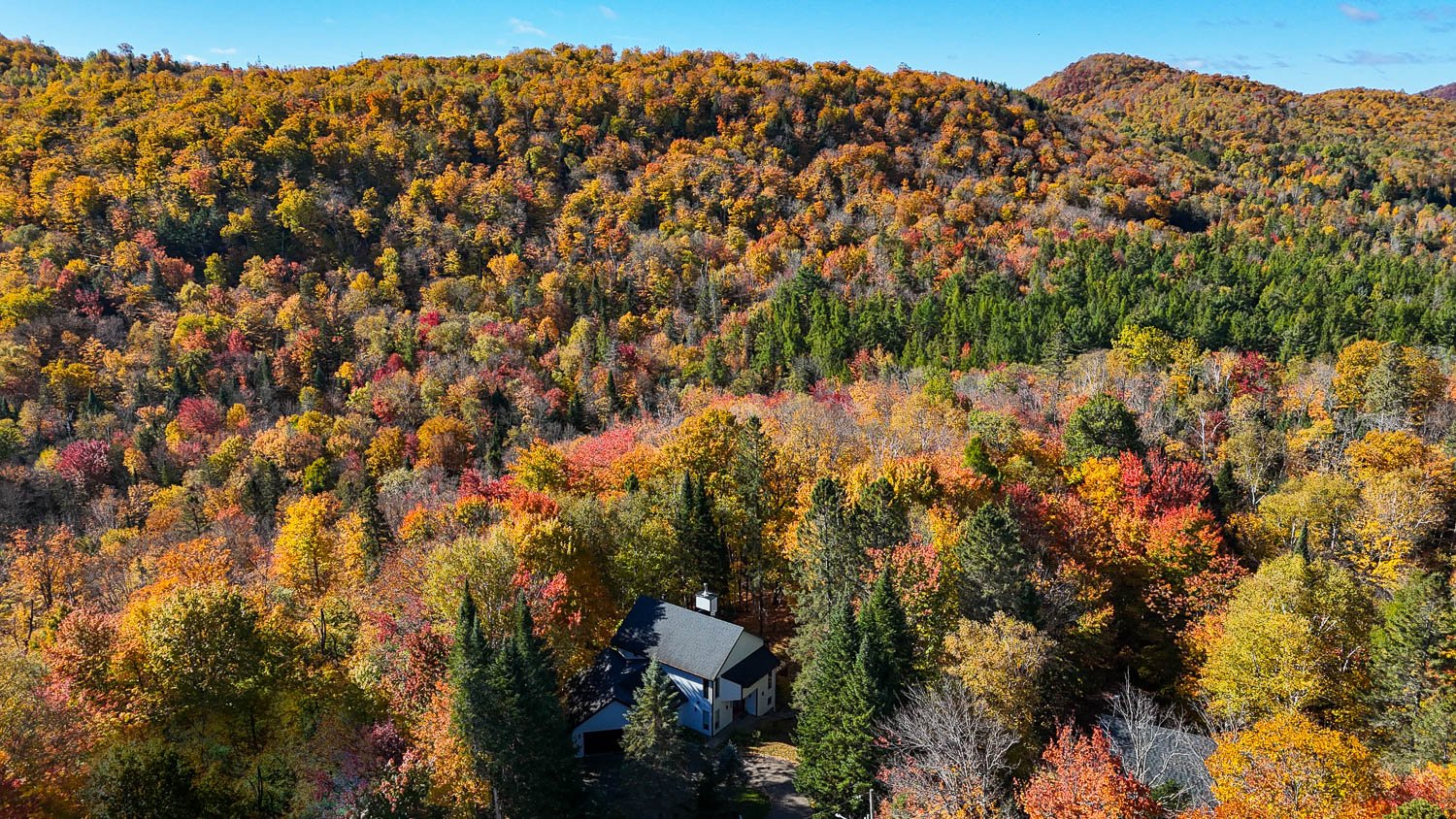 Aerial photo