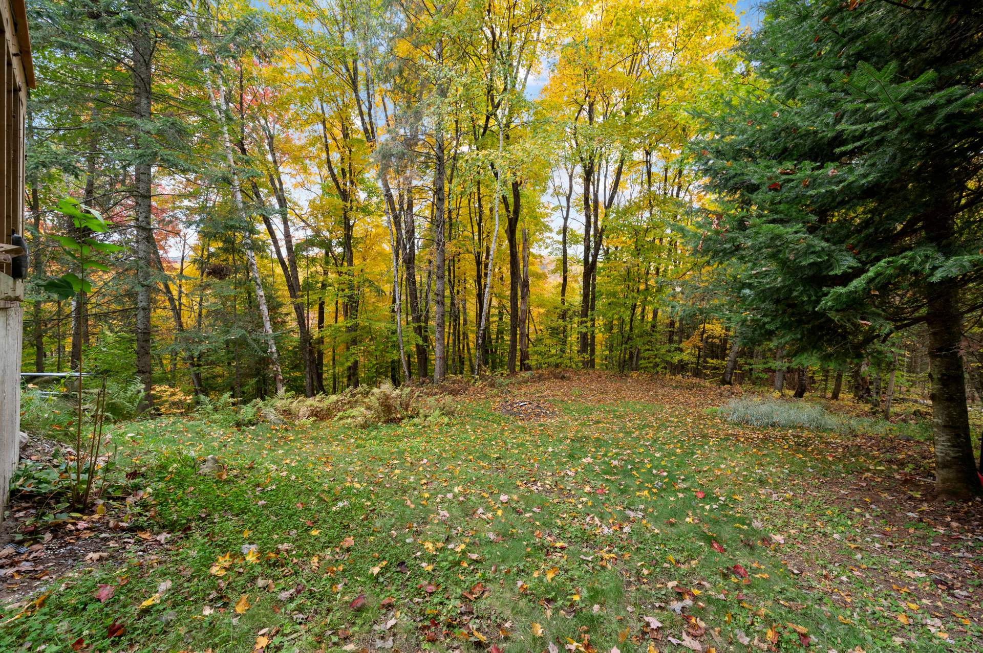 Land/Lot