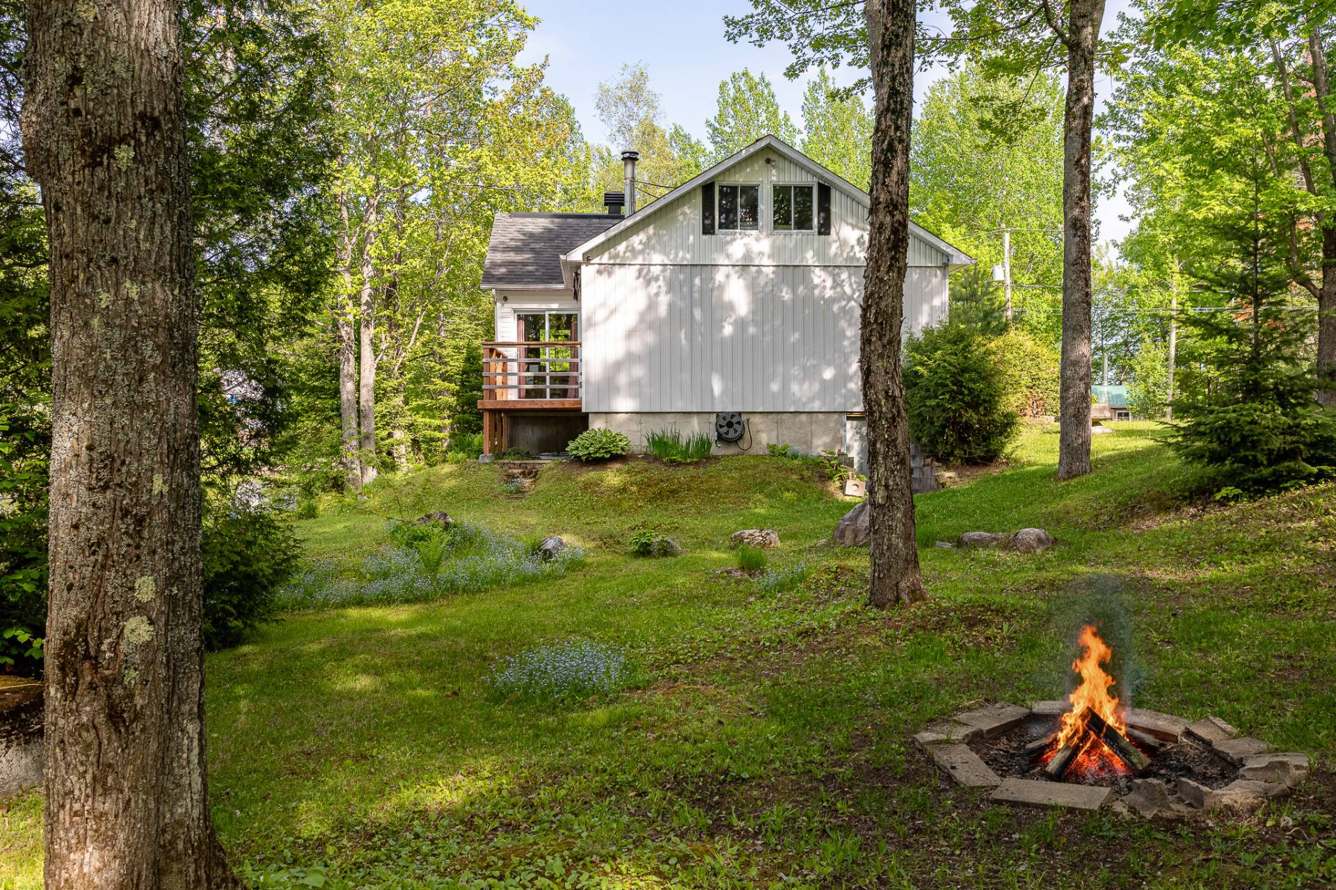 Backyard