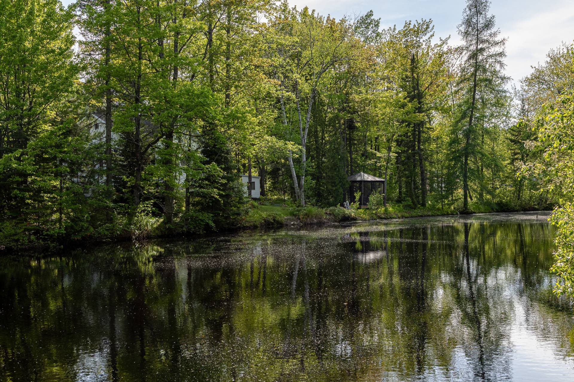 Water view