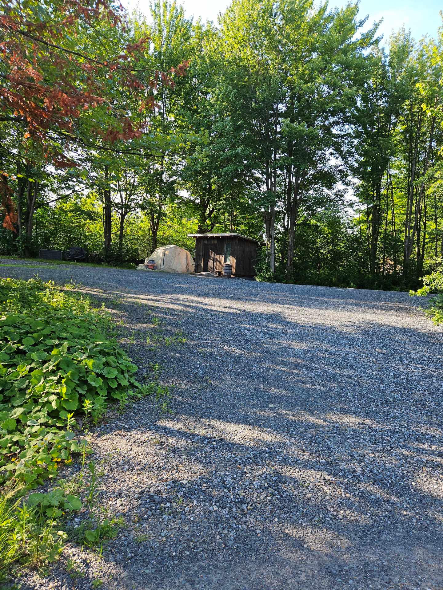 Land/Lot