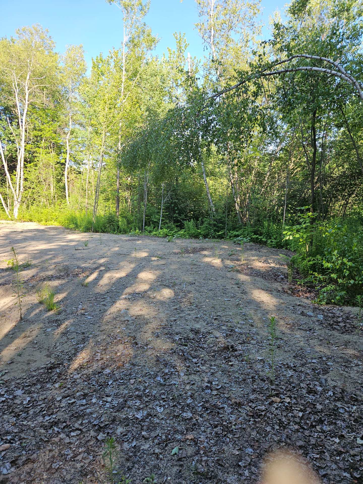 Land/Lot