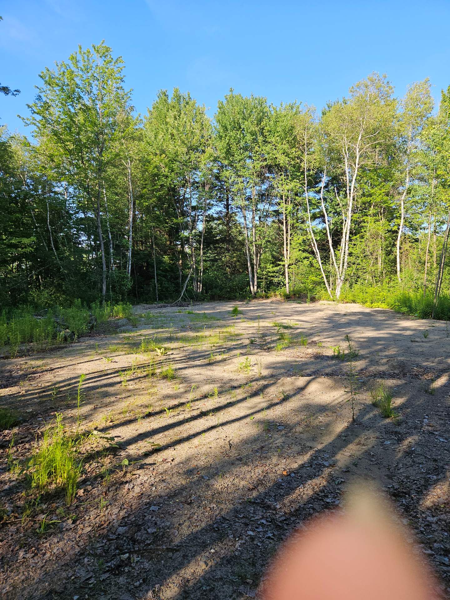 Land/Lot