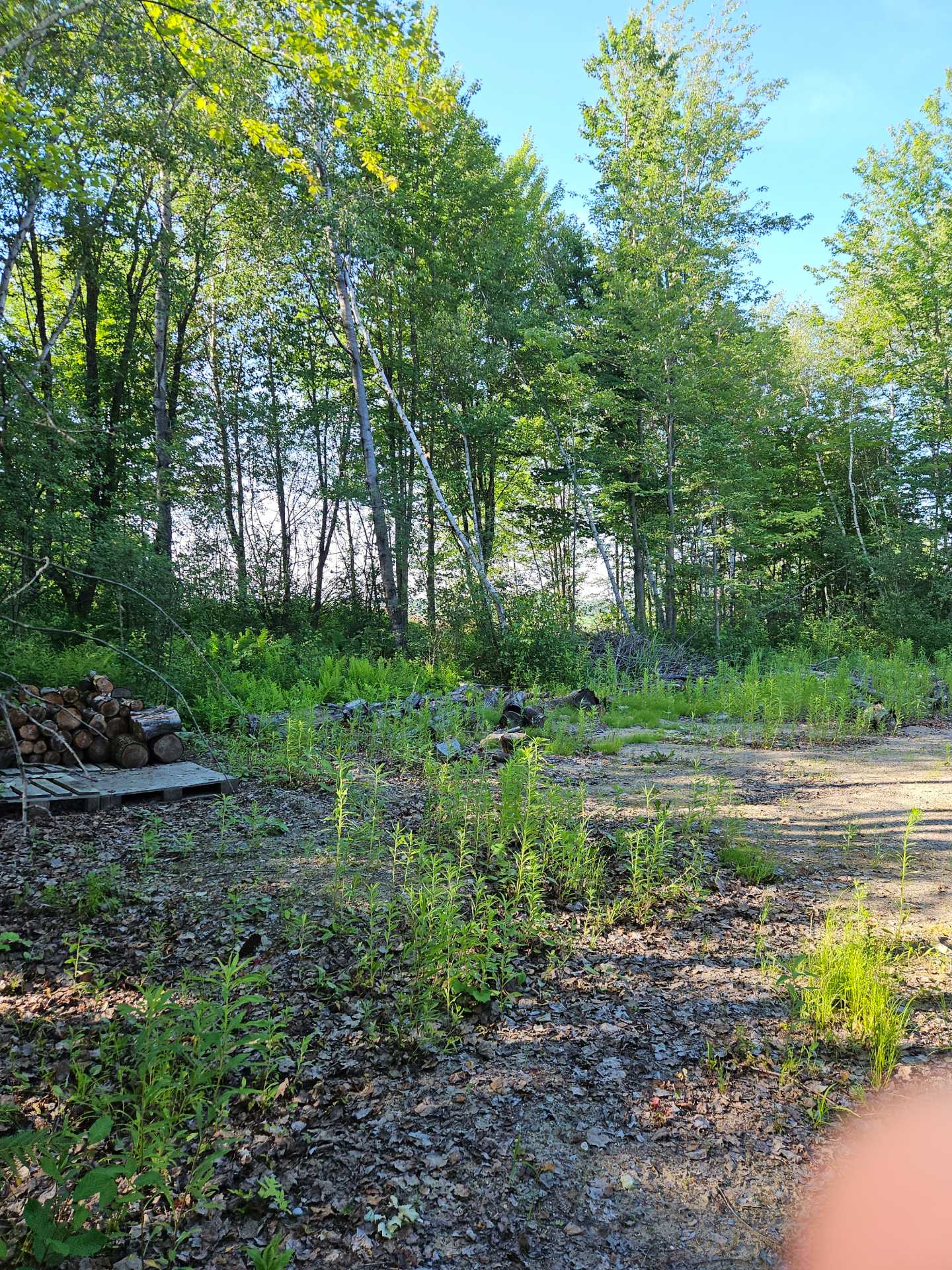 Land/Lot