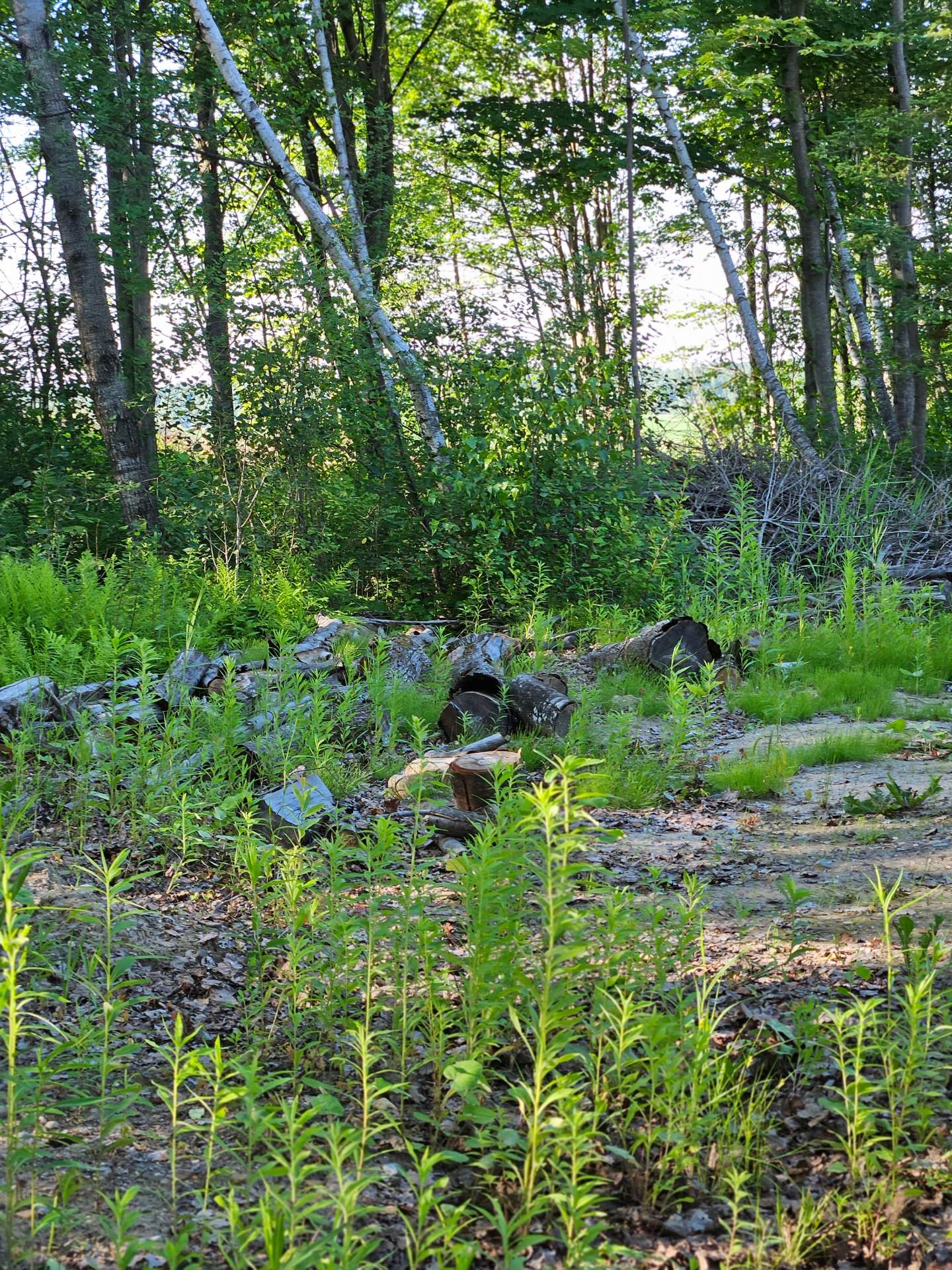 Land/Lot