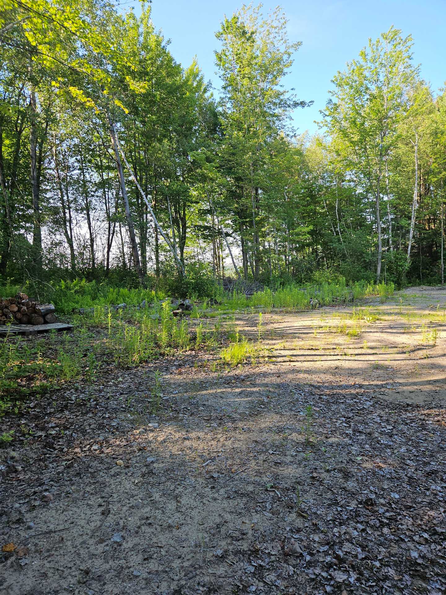 Land/Lot
