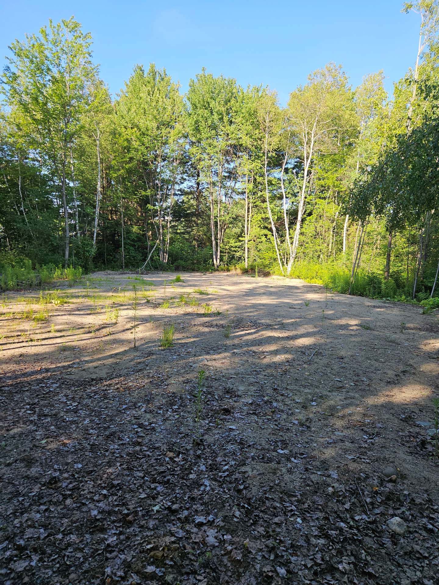 Land/Lot