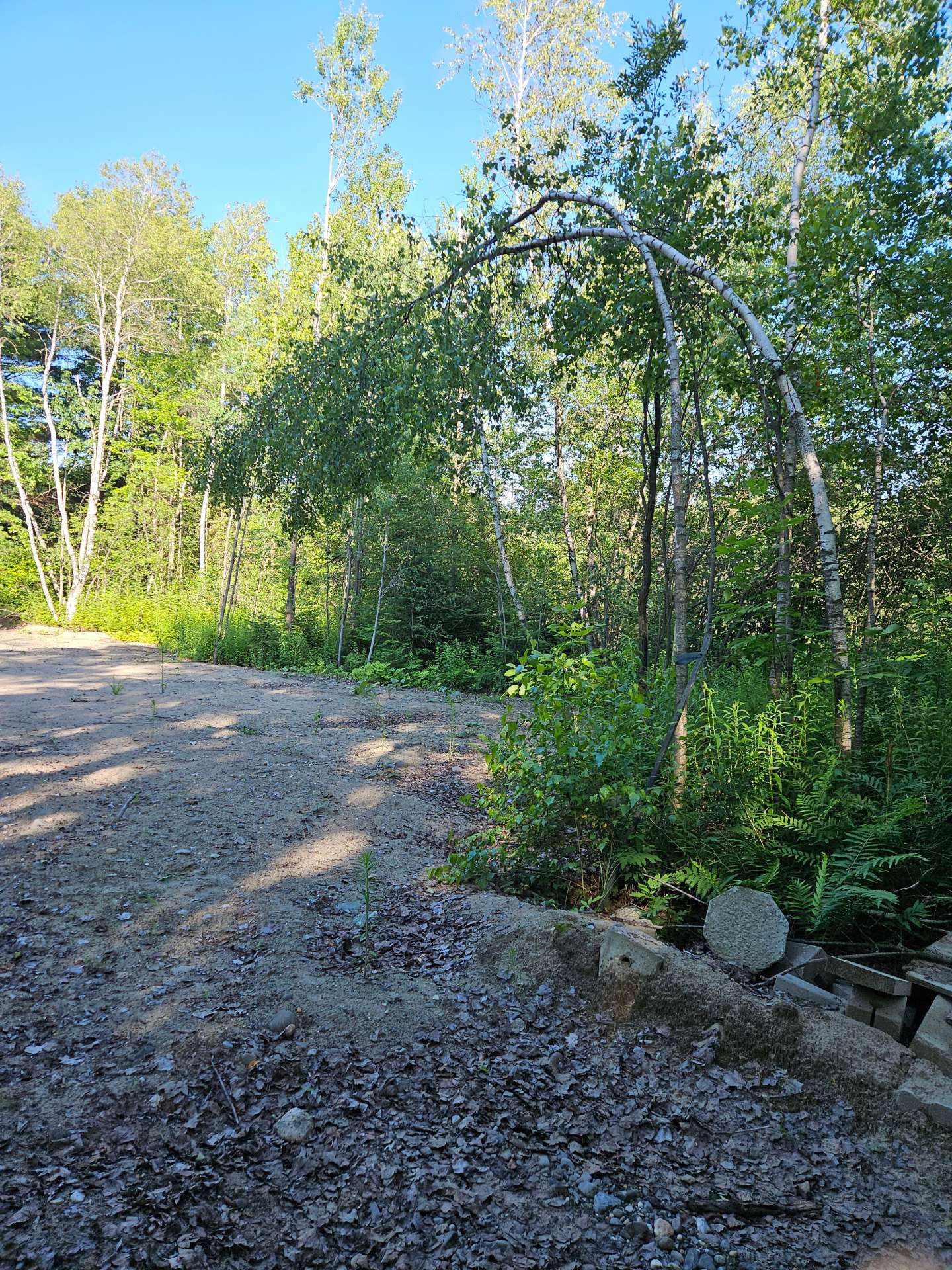 Land/Lot