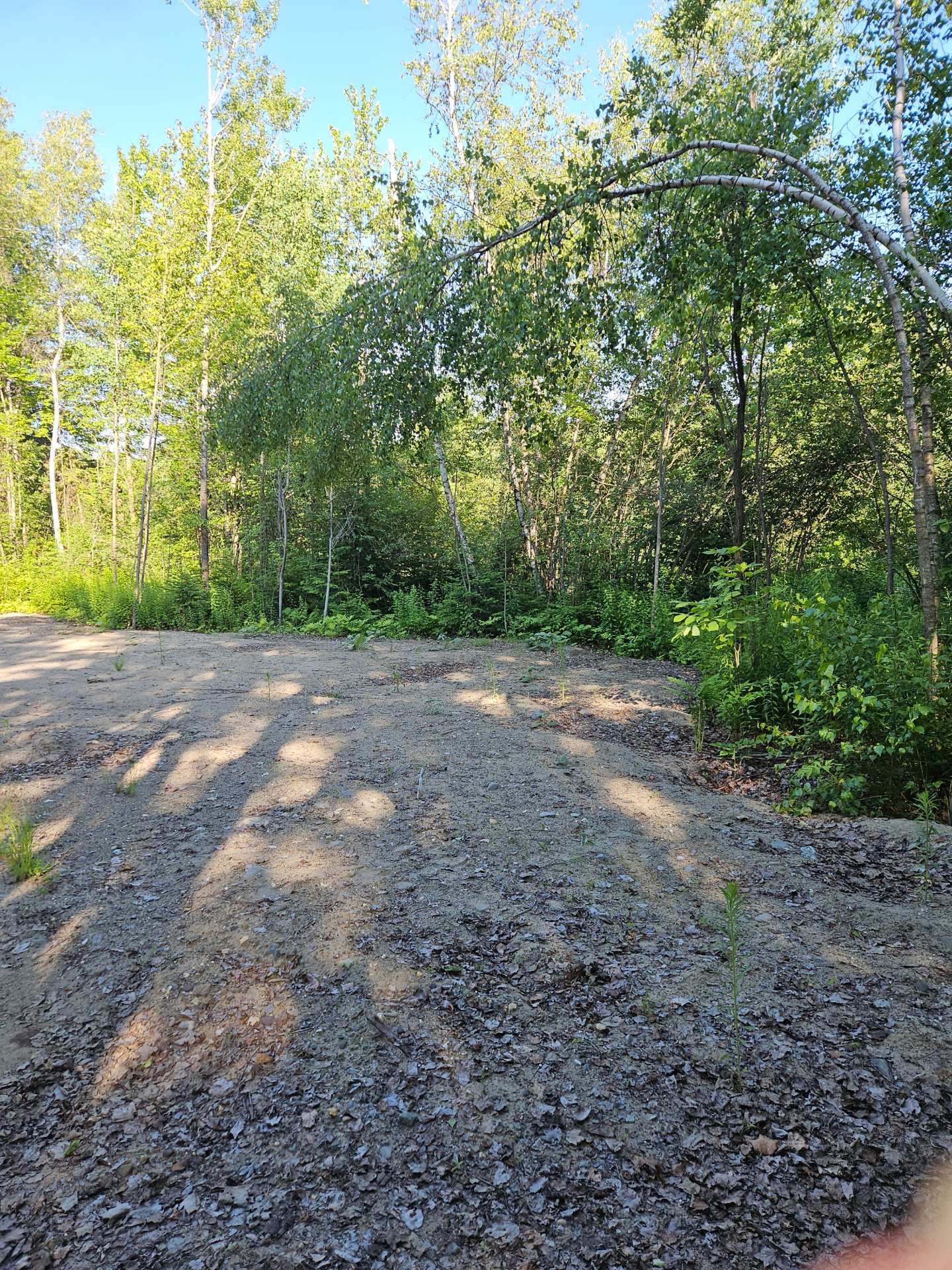 Land/Lot