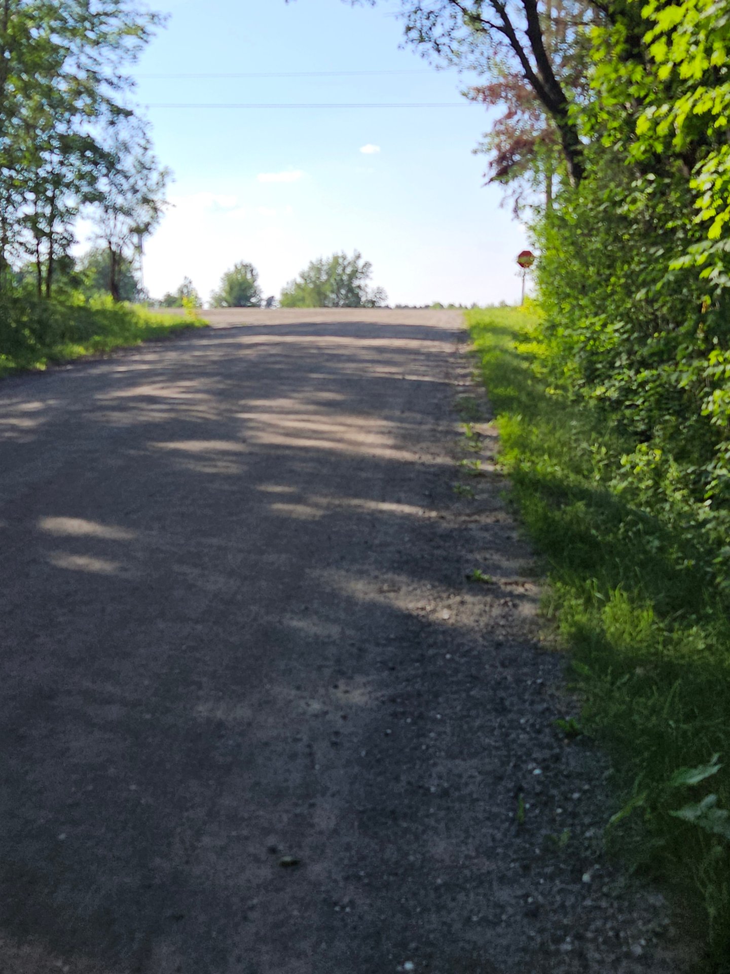 Street
