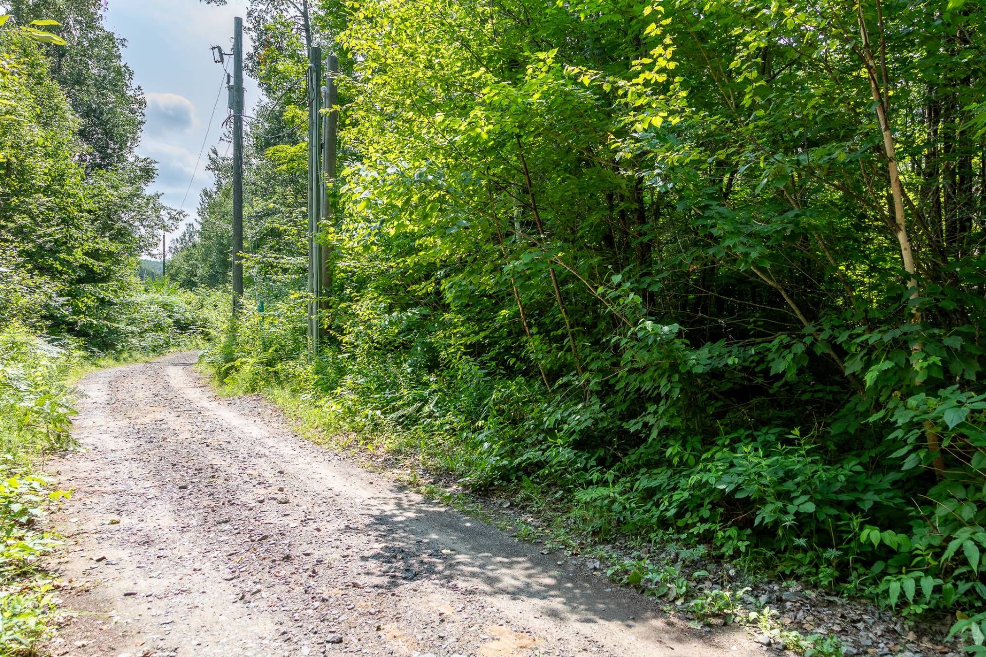 Autre