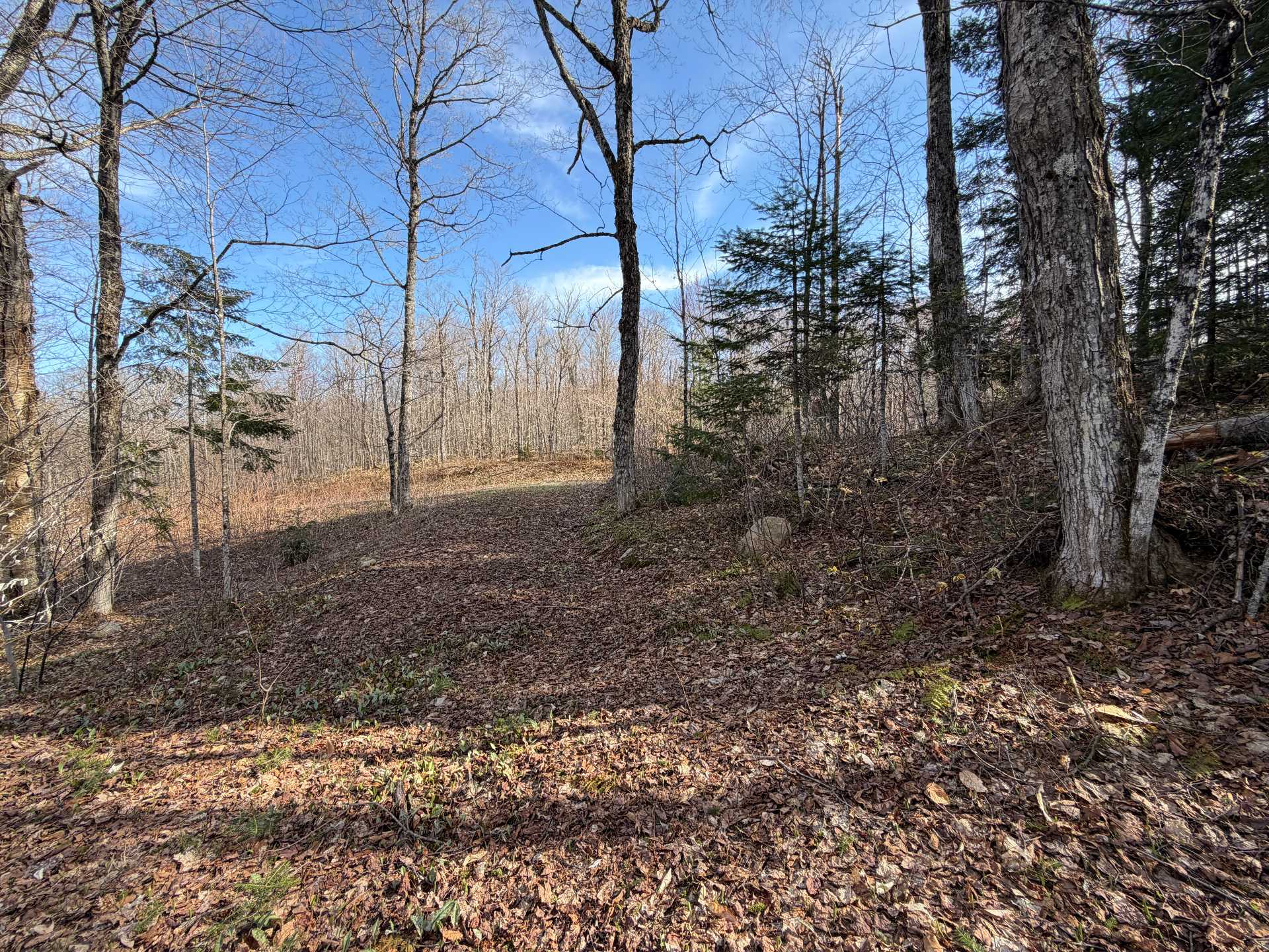 Land/Lot