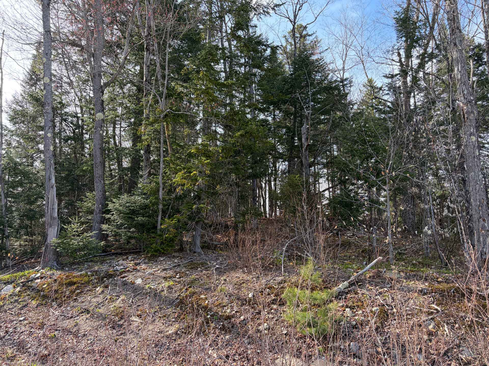 Land/Lot