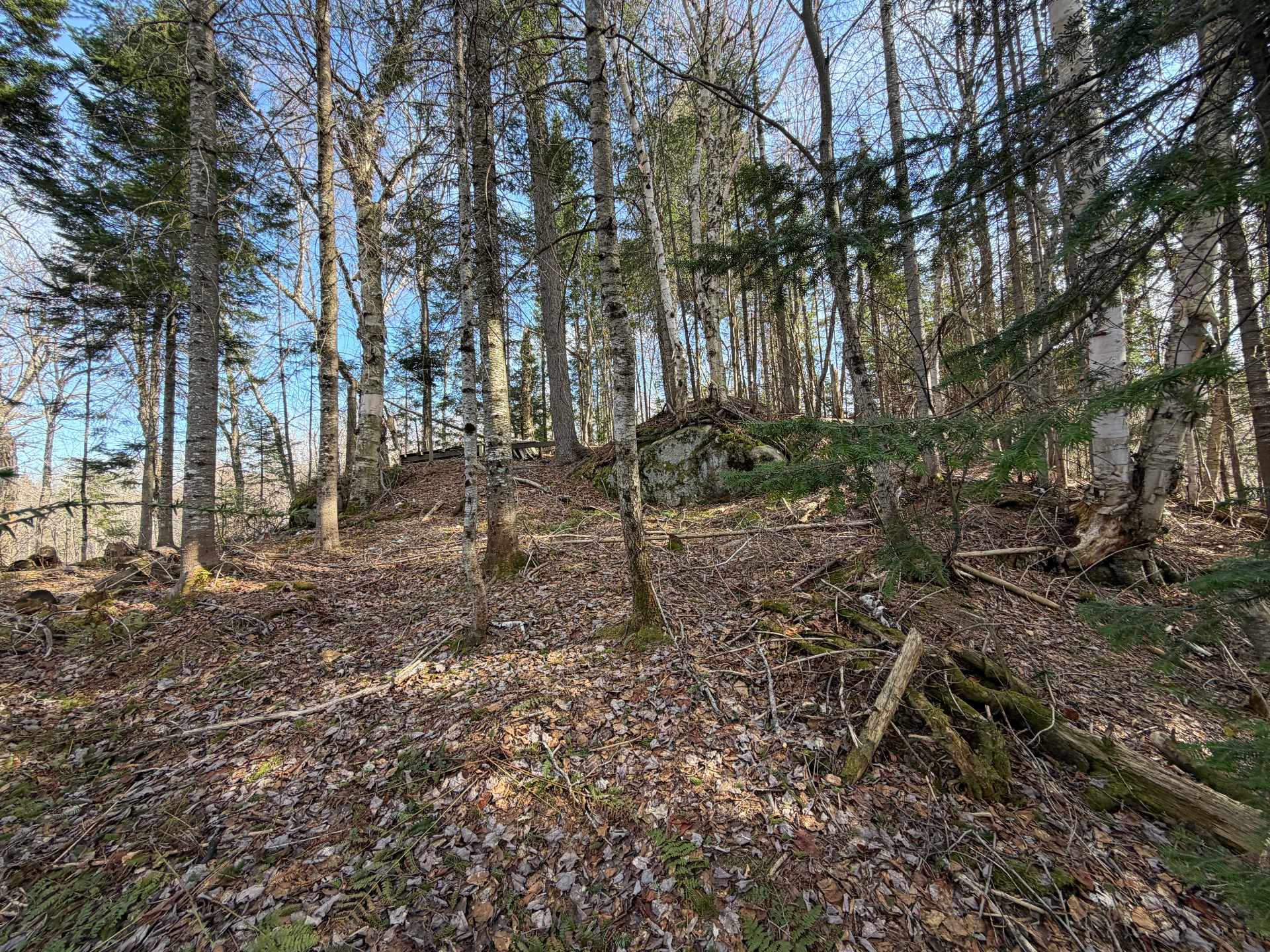Land/Lot
