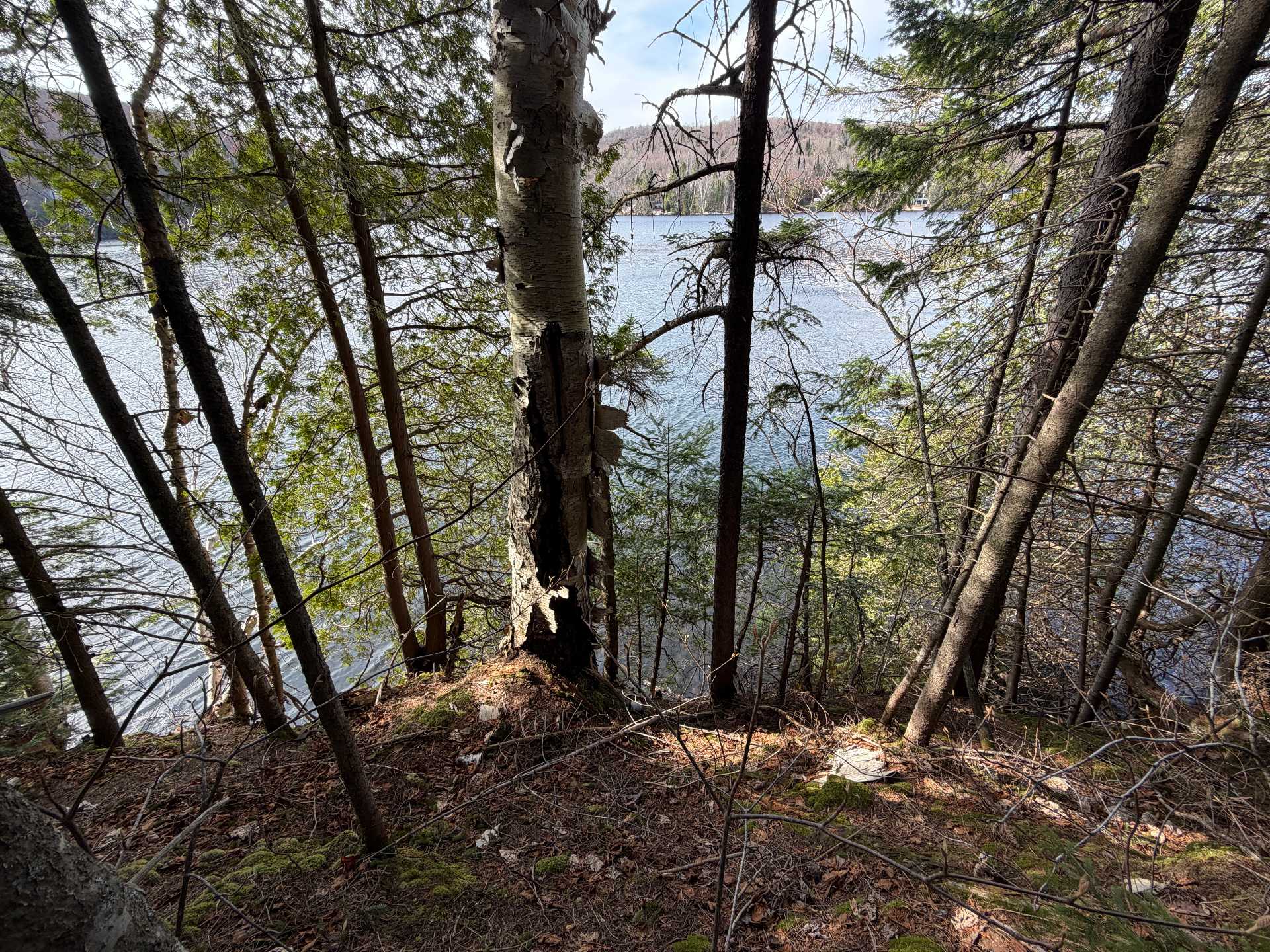 Land/Lot