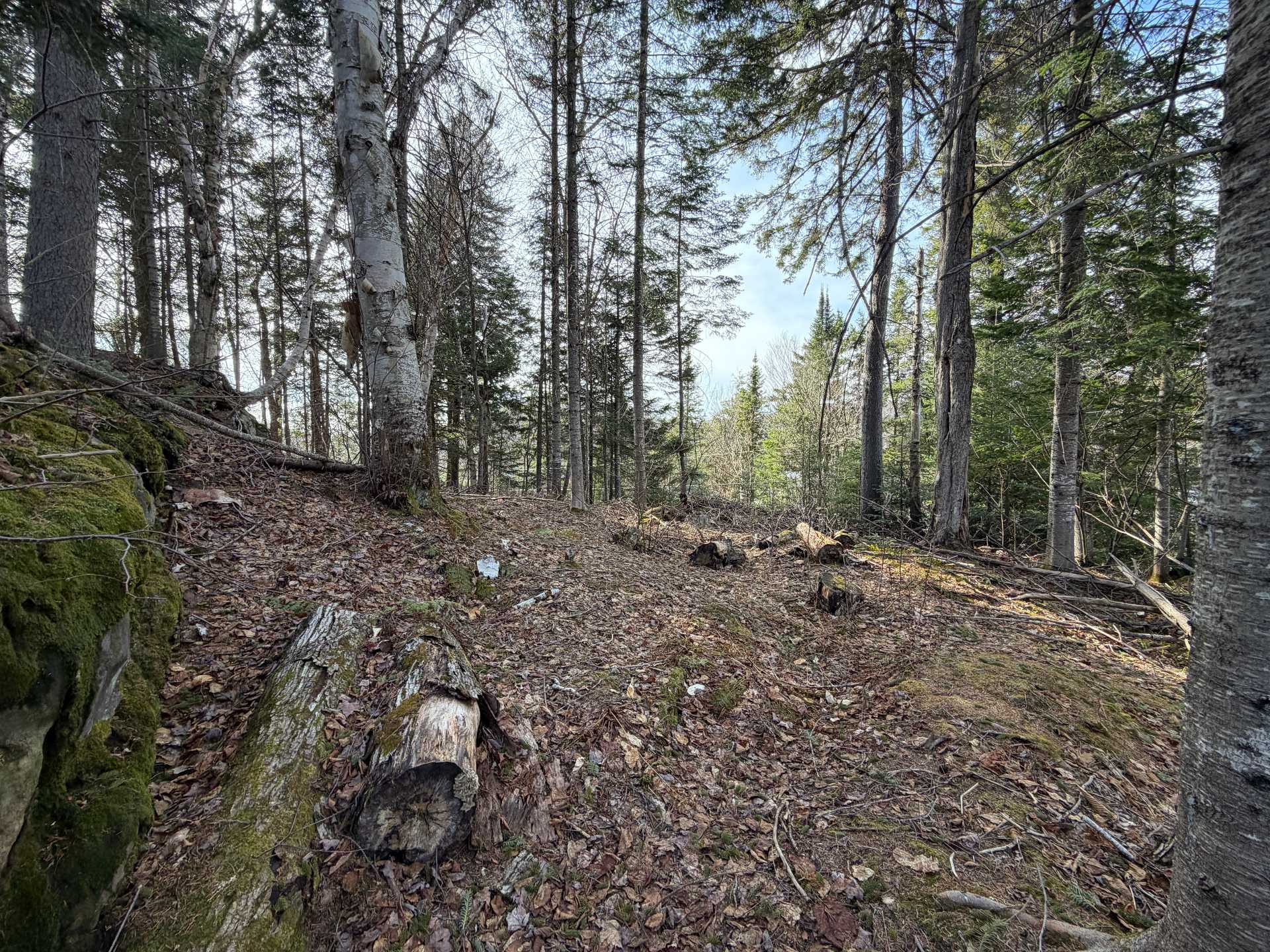 Land/Lot