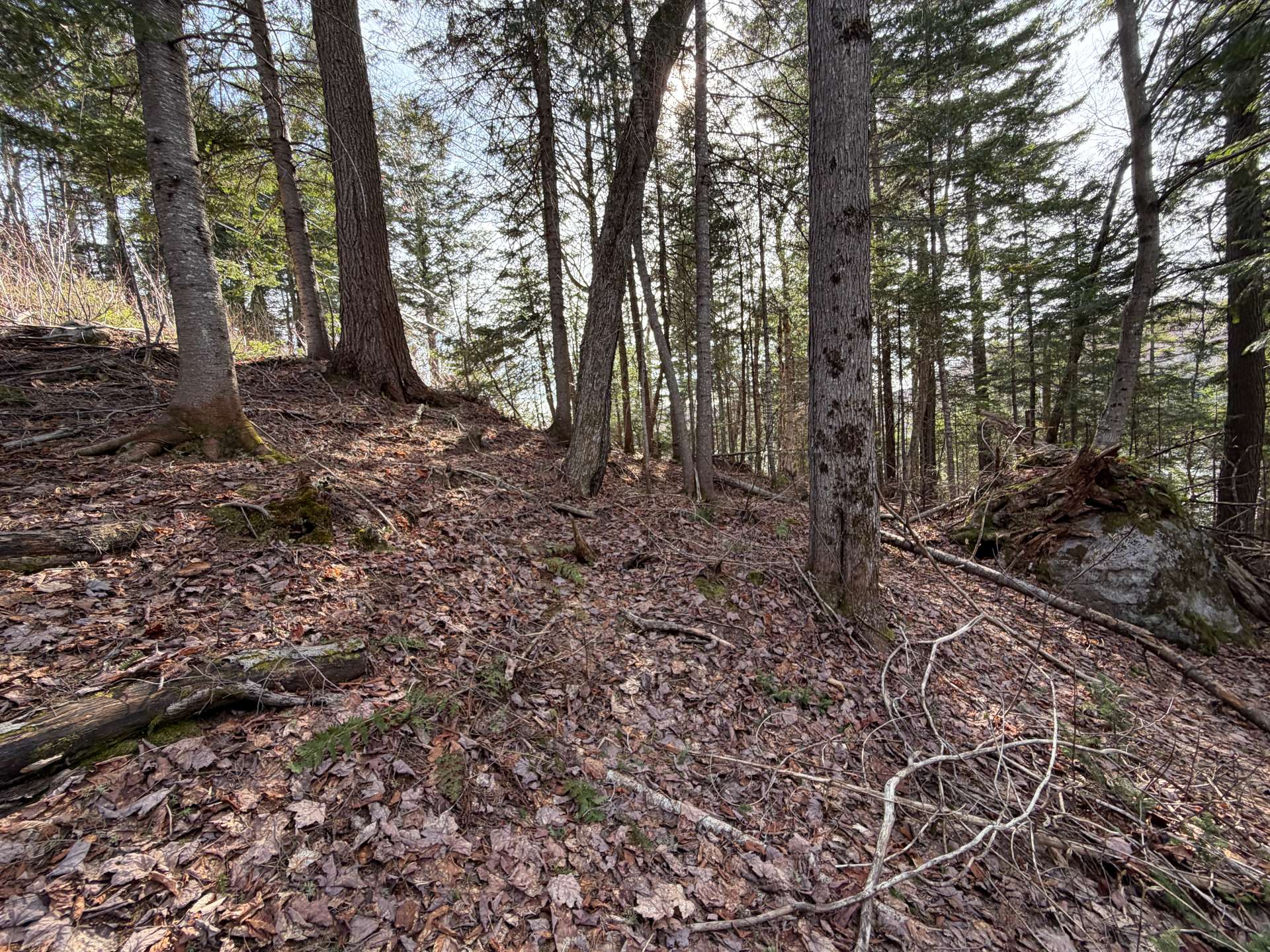 Land/Lot
