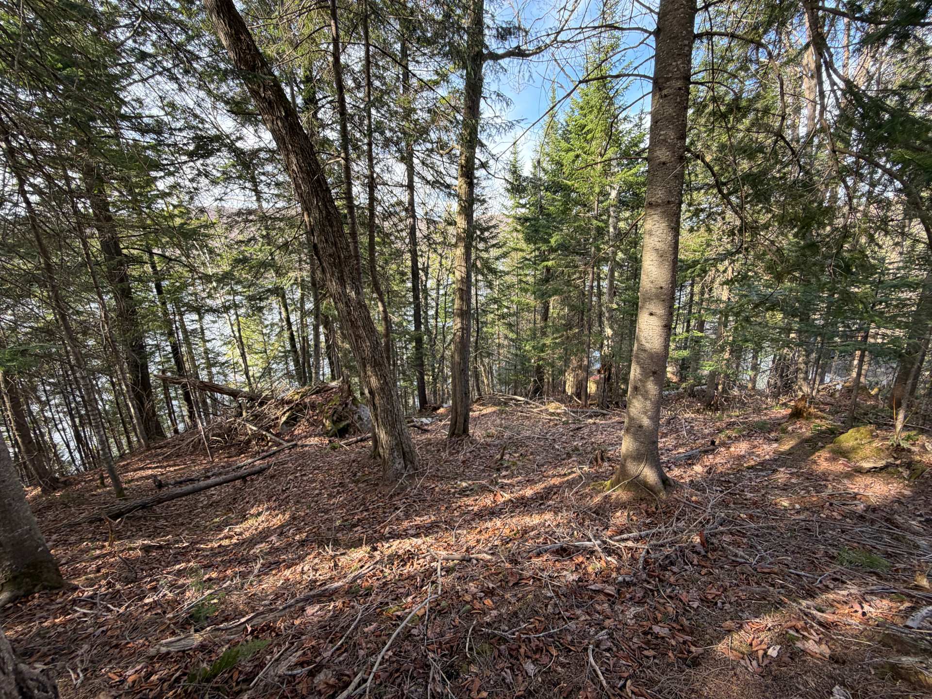Land/Lot