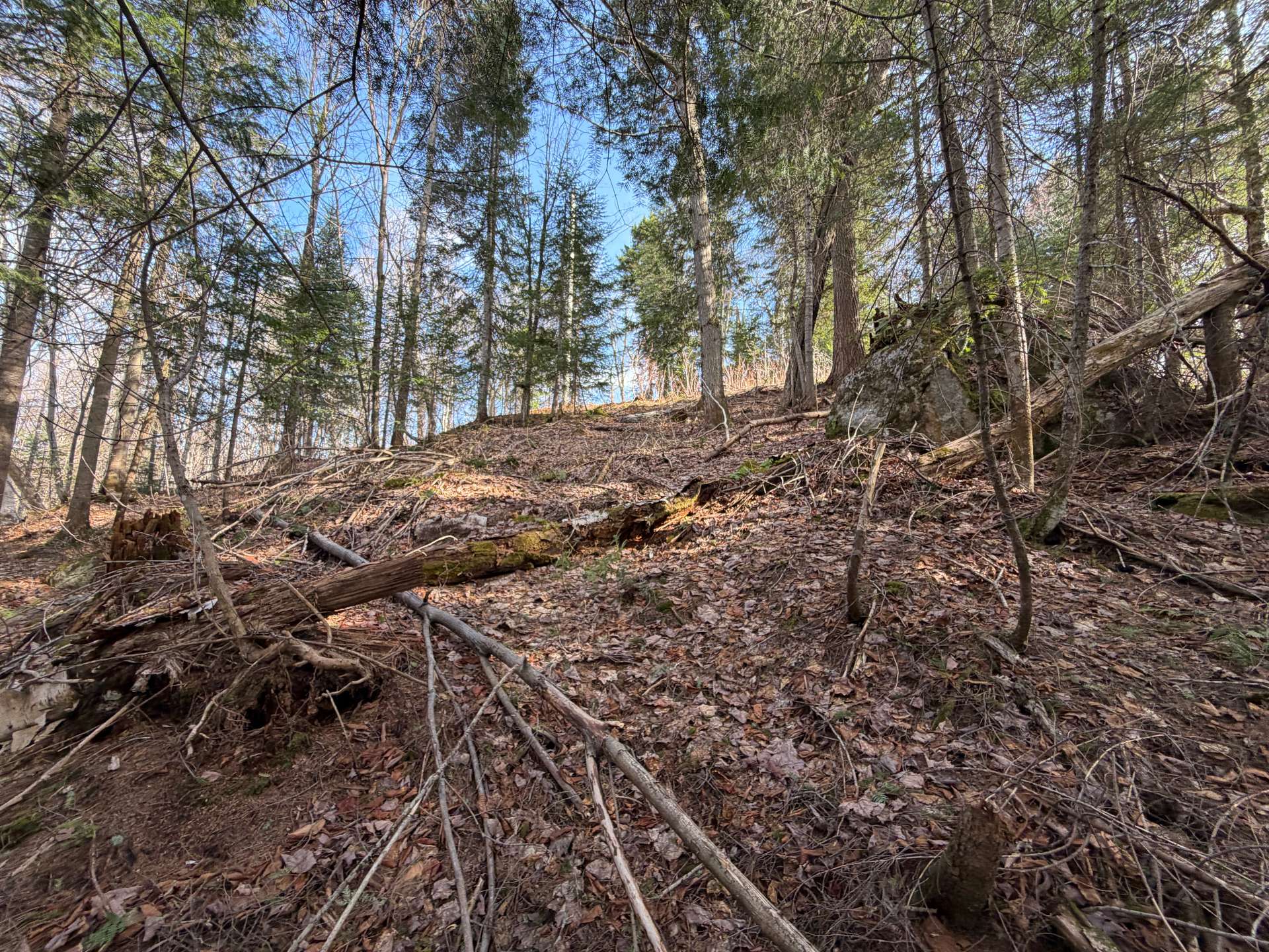 Land/Lot